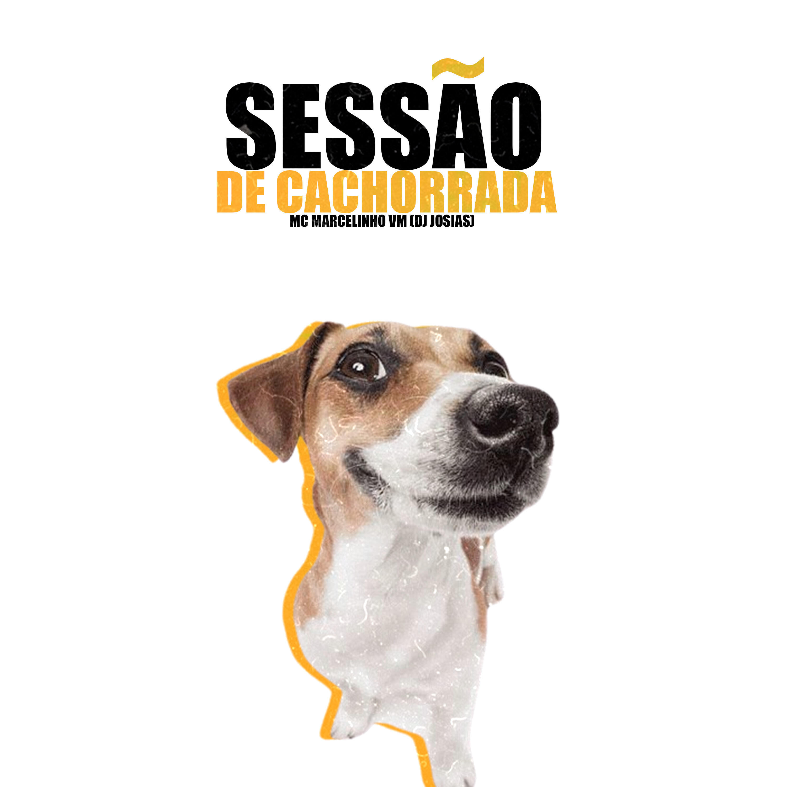 Релиз Sessão De Cachorrada