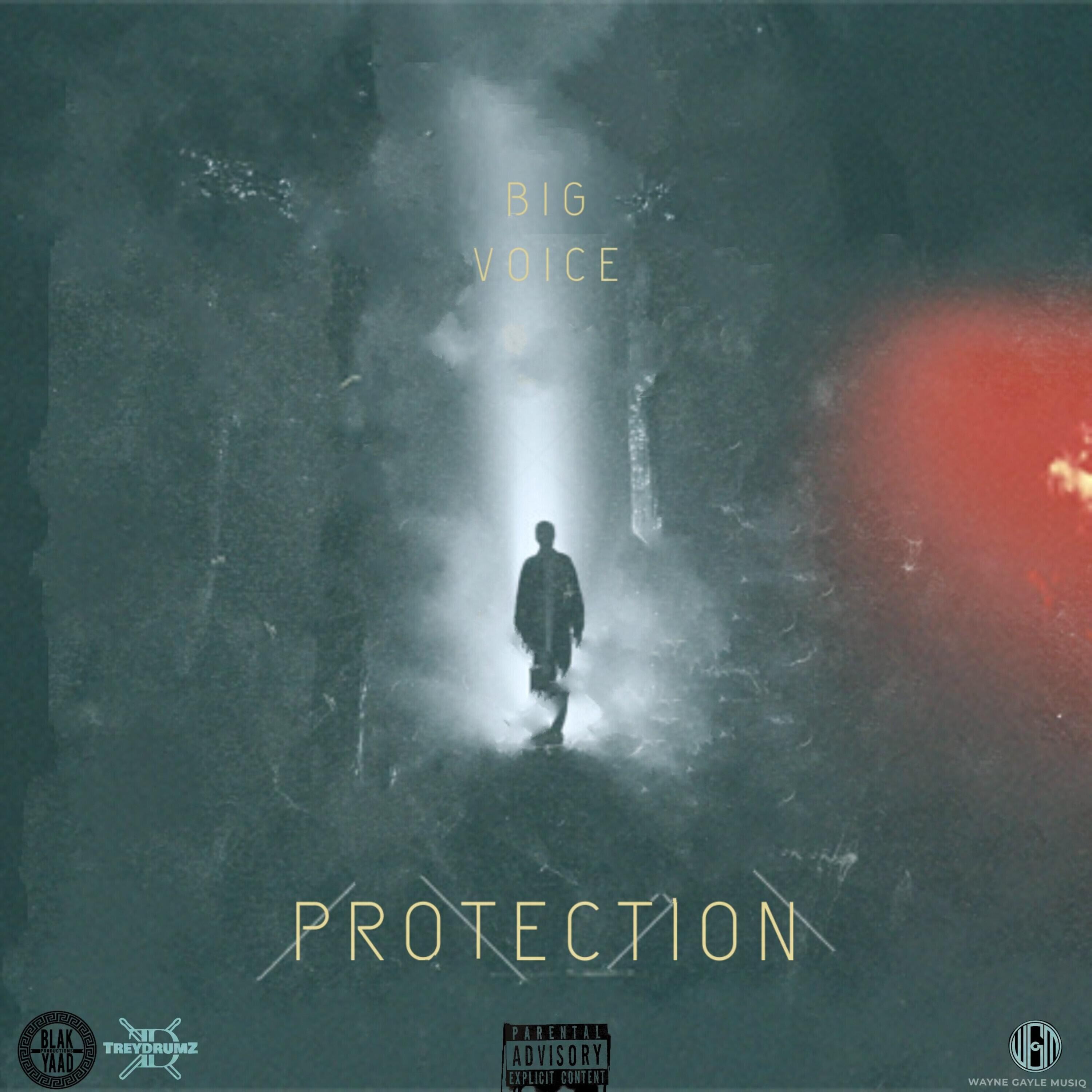 Релиз Protection