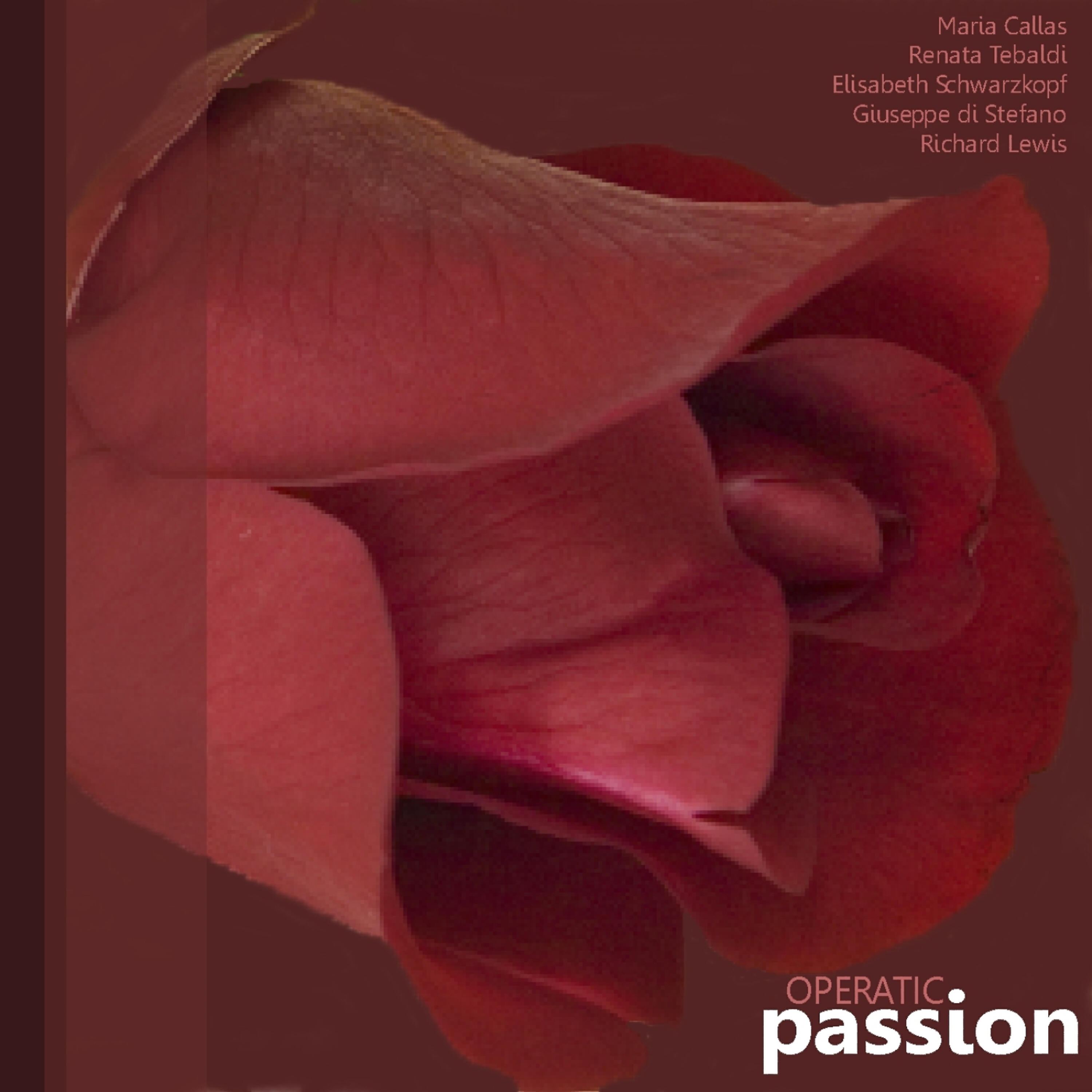Релиз Operatic Passion