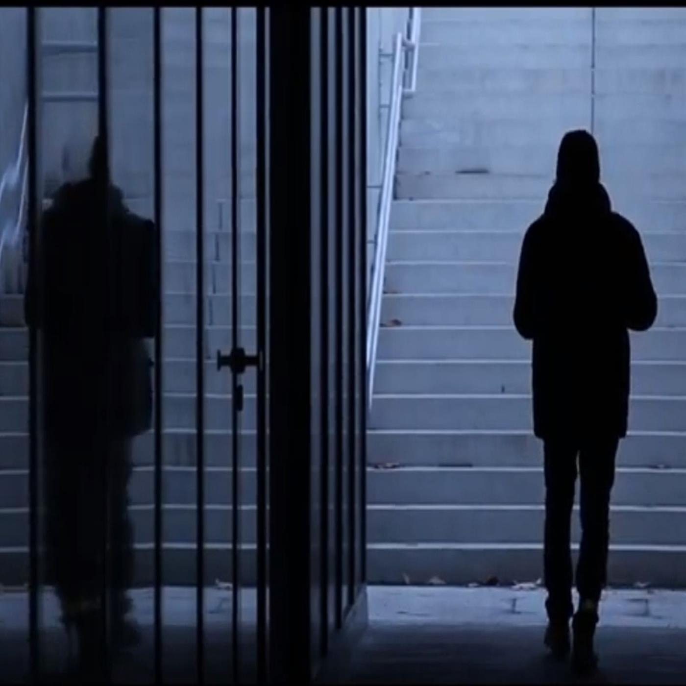 Релиз Trust Me I Don't Know What I'm Doing