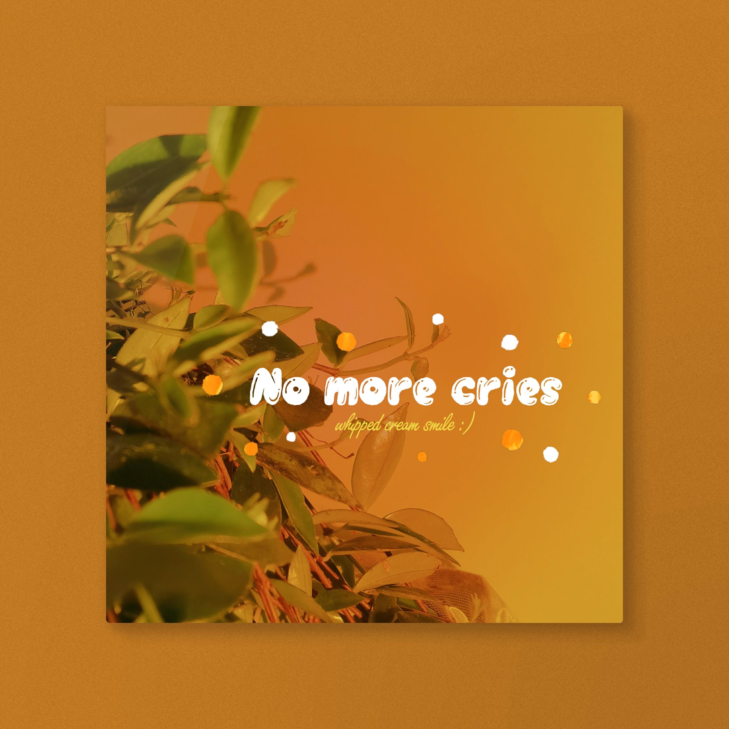 Релиз No More Cries