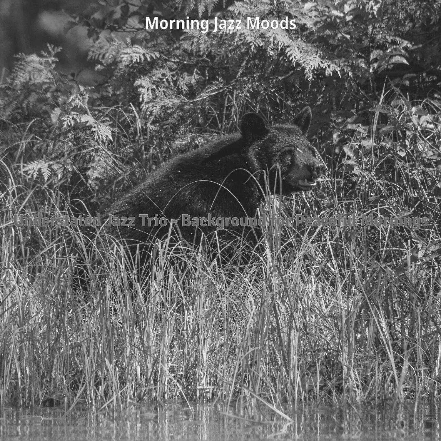 Постер альбома Understated Jazz Trio - Background for Peaceful Mornings