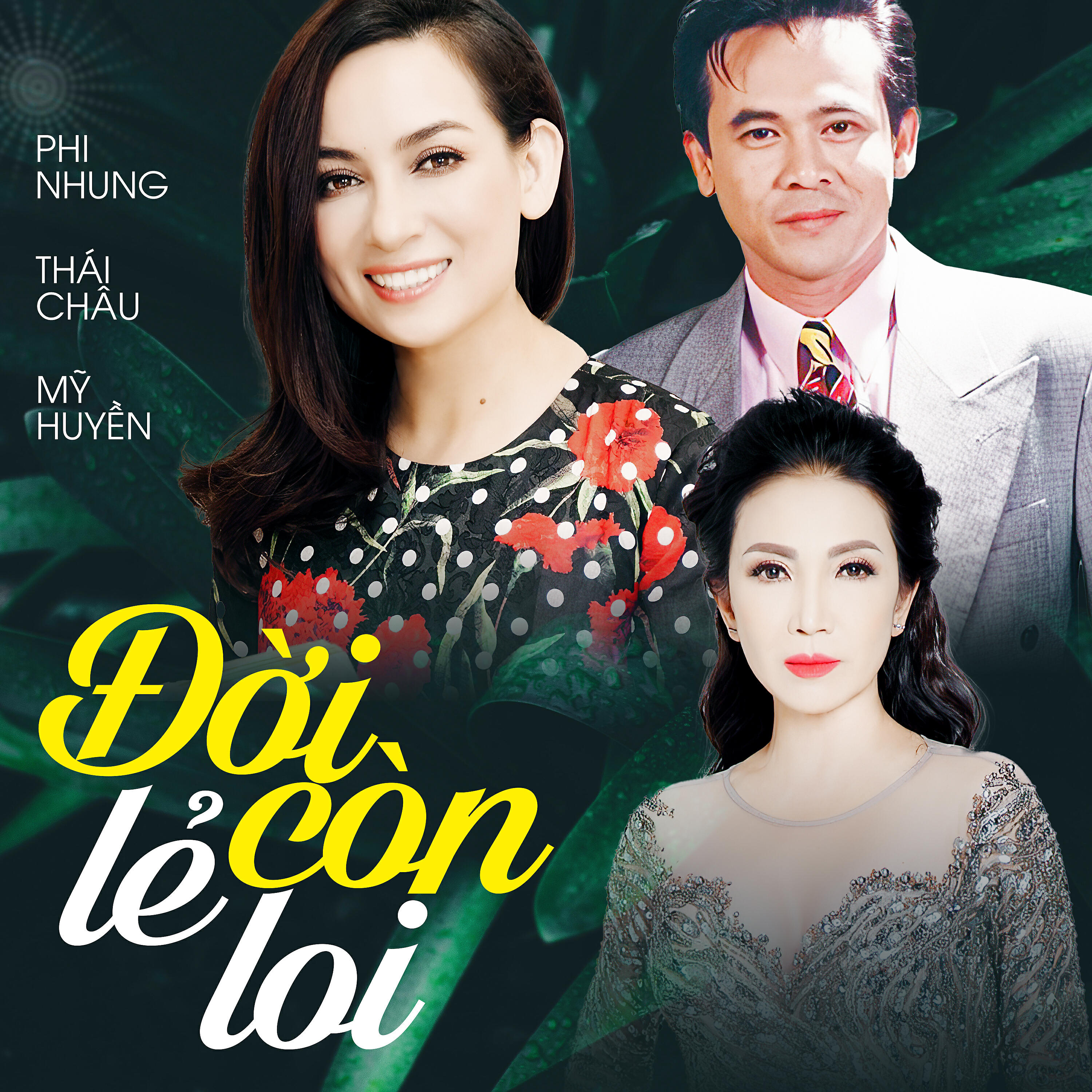 Релиз Đời Còn Lẻ Loi
