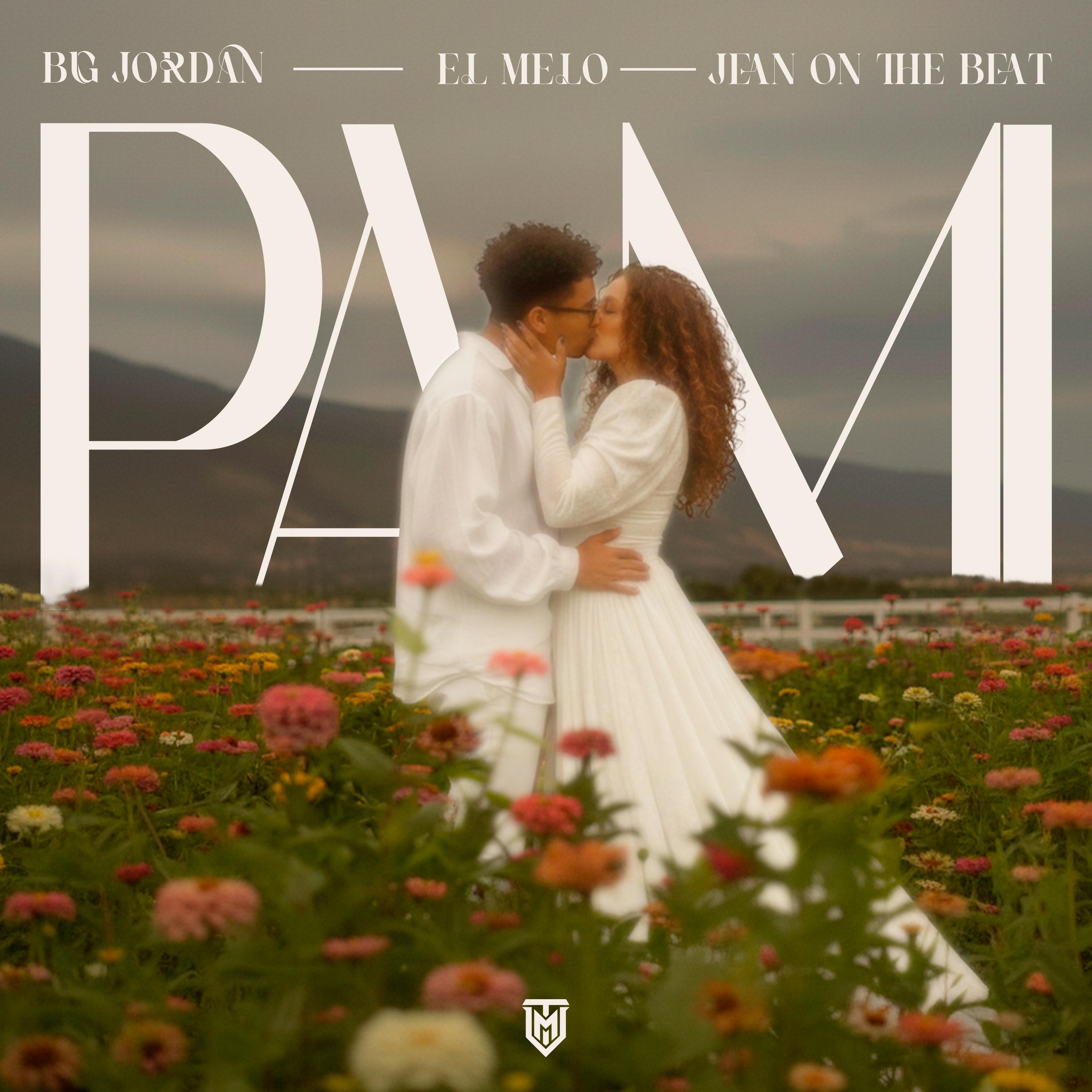 Релиз PA MI
