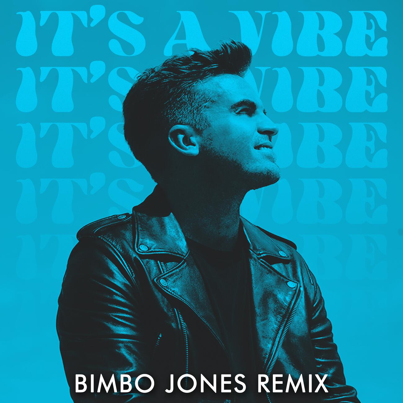 Релиз It's A Vibe (Bimbo Jones Remix)