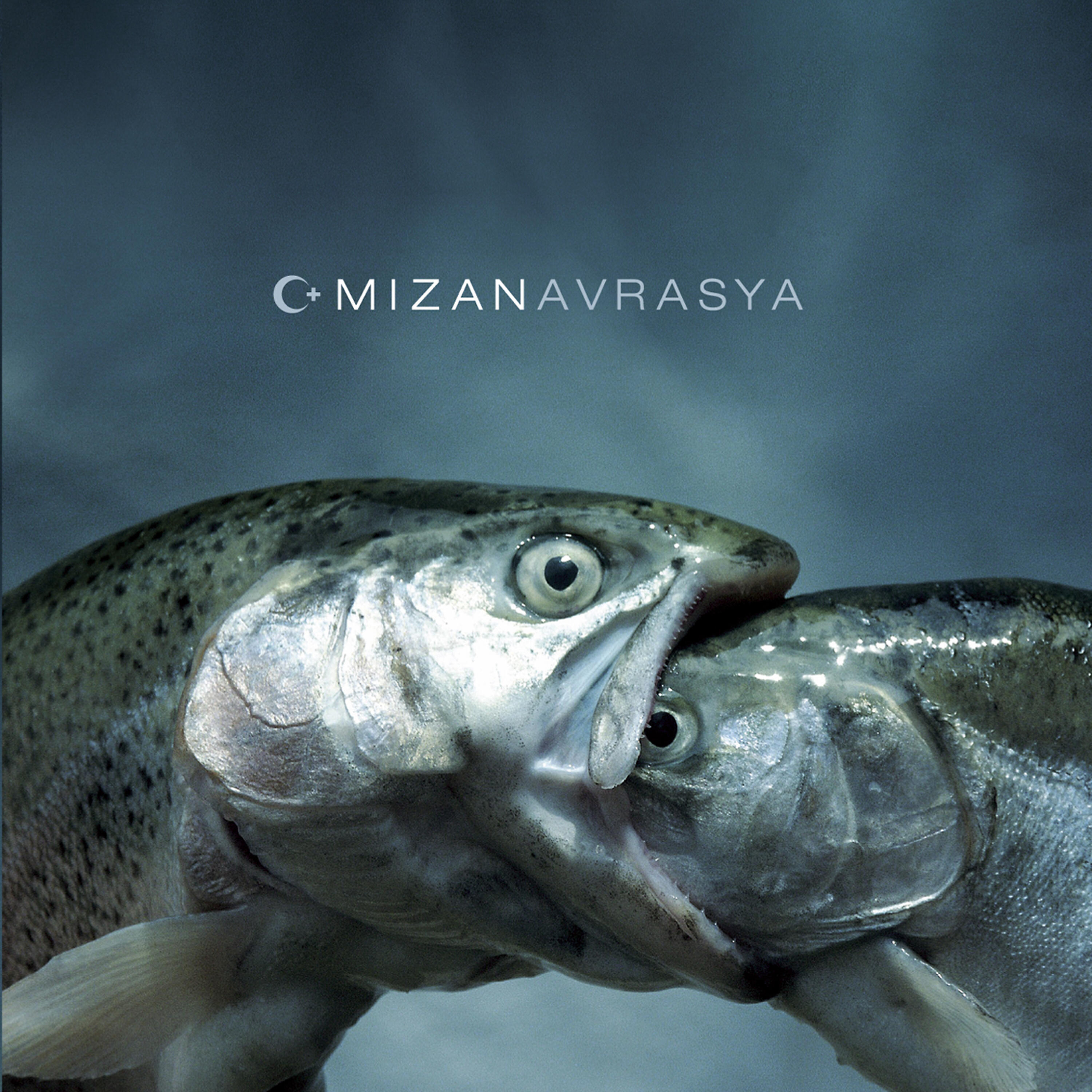 Релиз Mizan Avrasya