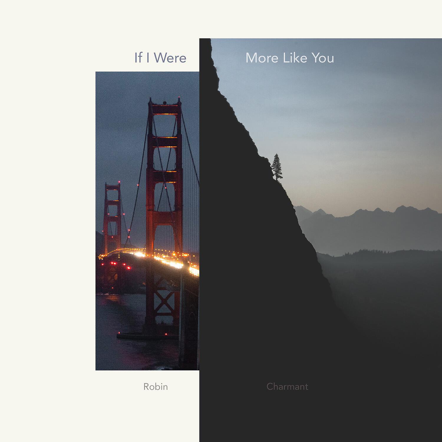 Релиз If I Were More Like You
