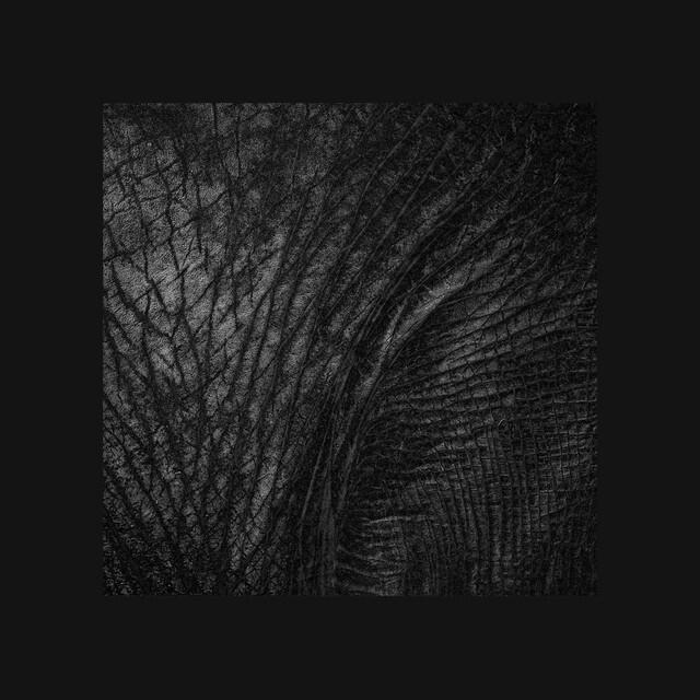 Релиз Blackest