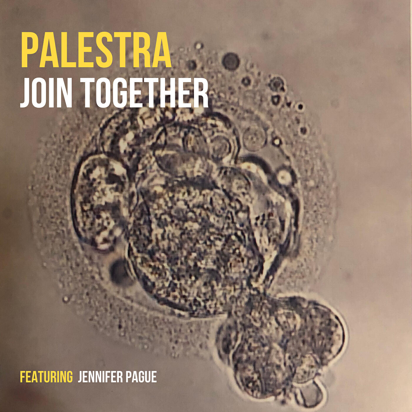 Релиз Join Together