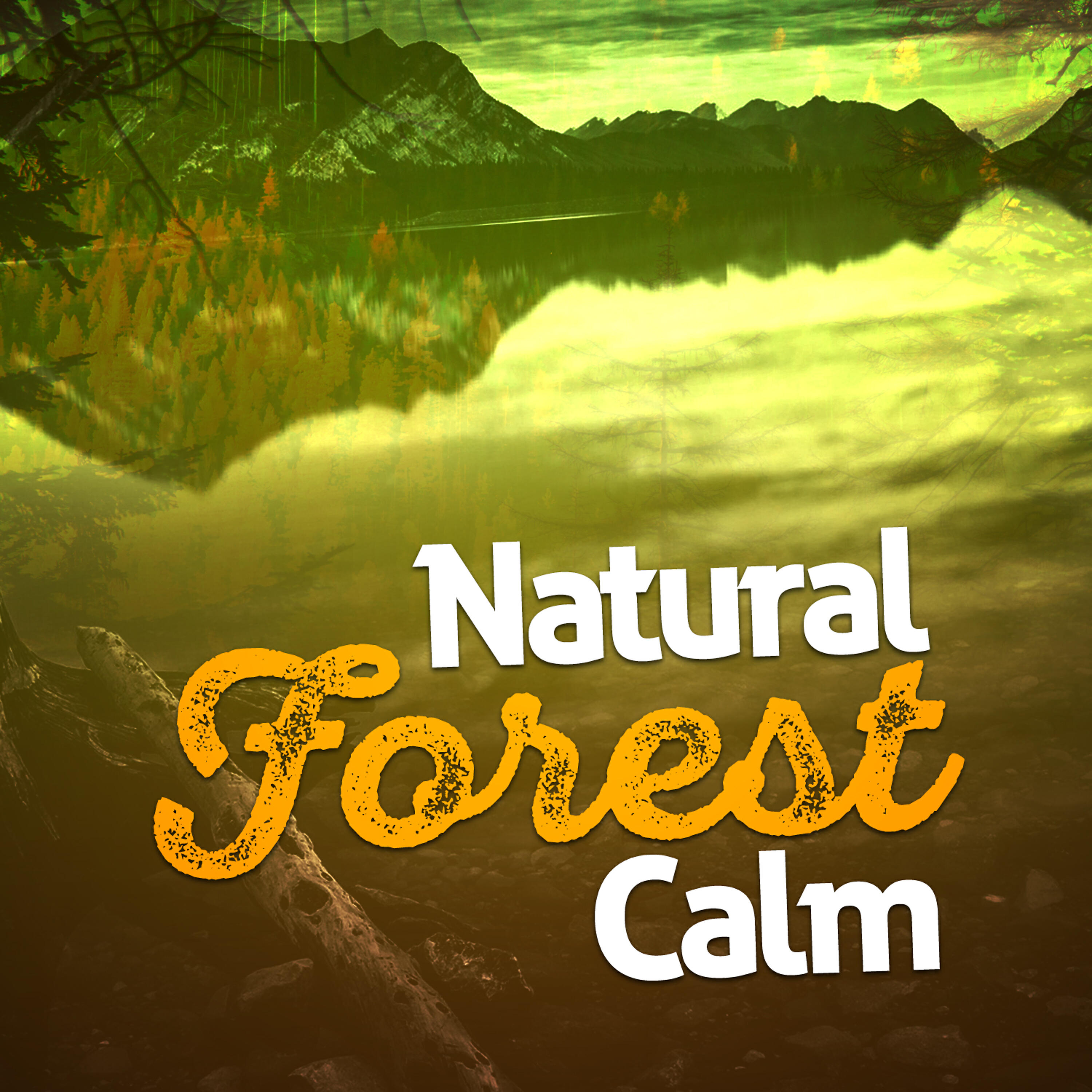 Релиз Natural Forest Calm