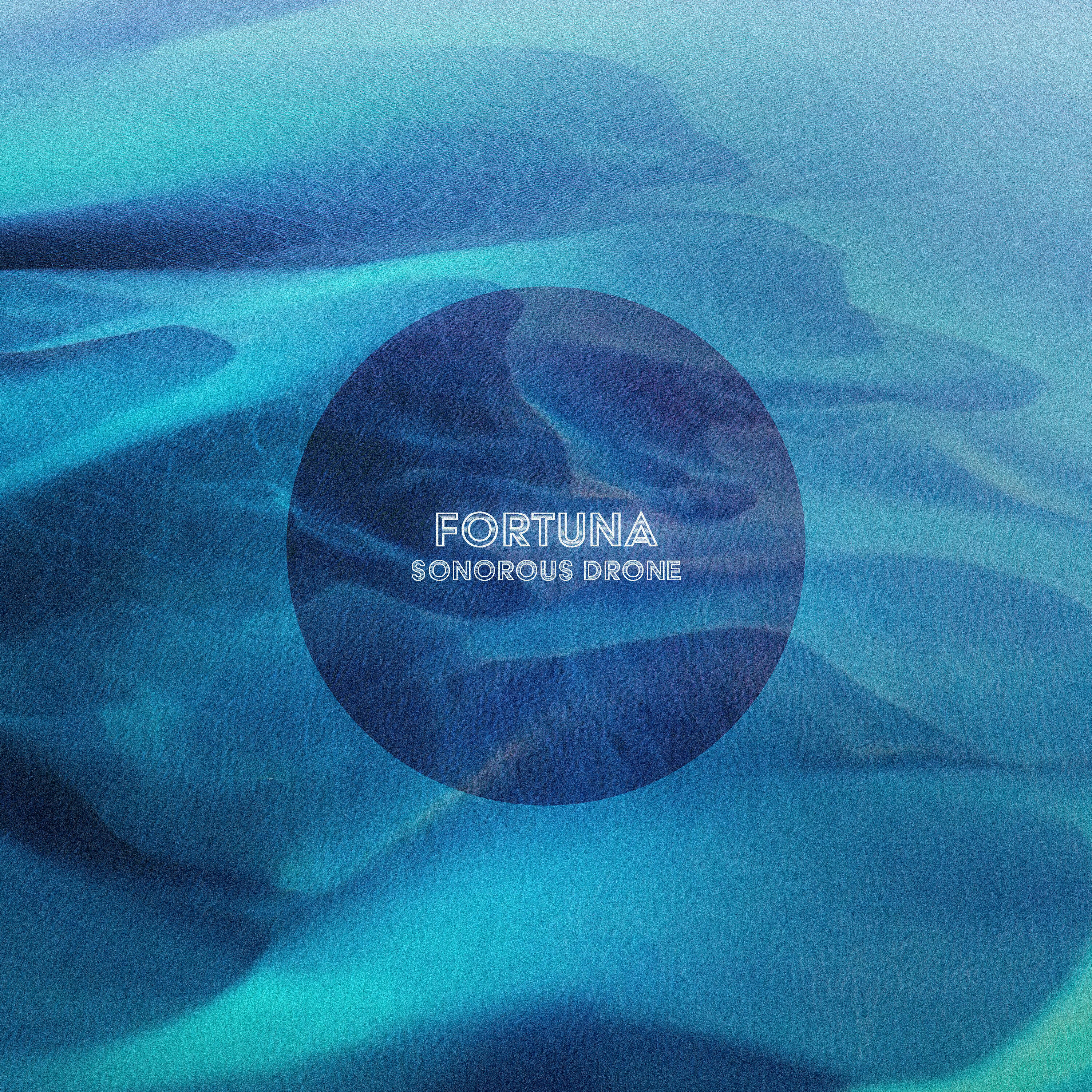Релиз Fortuna