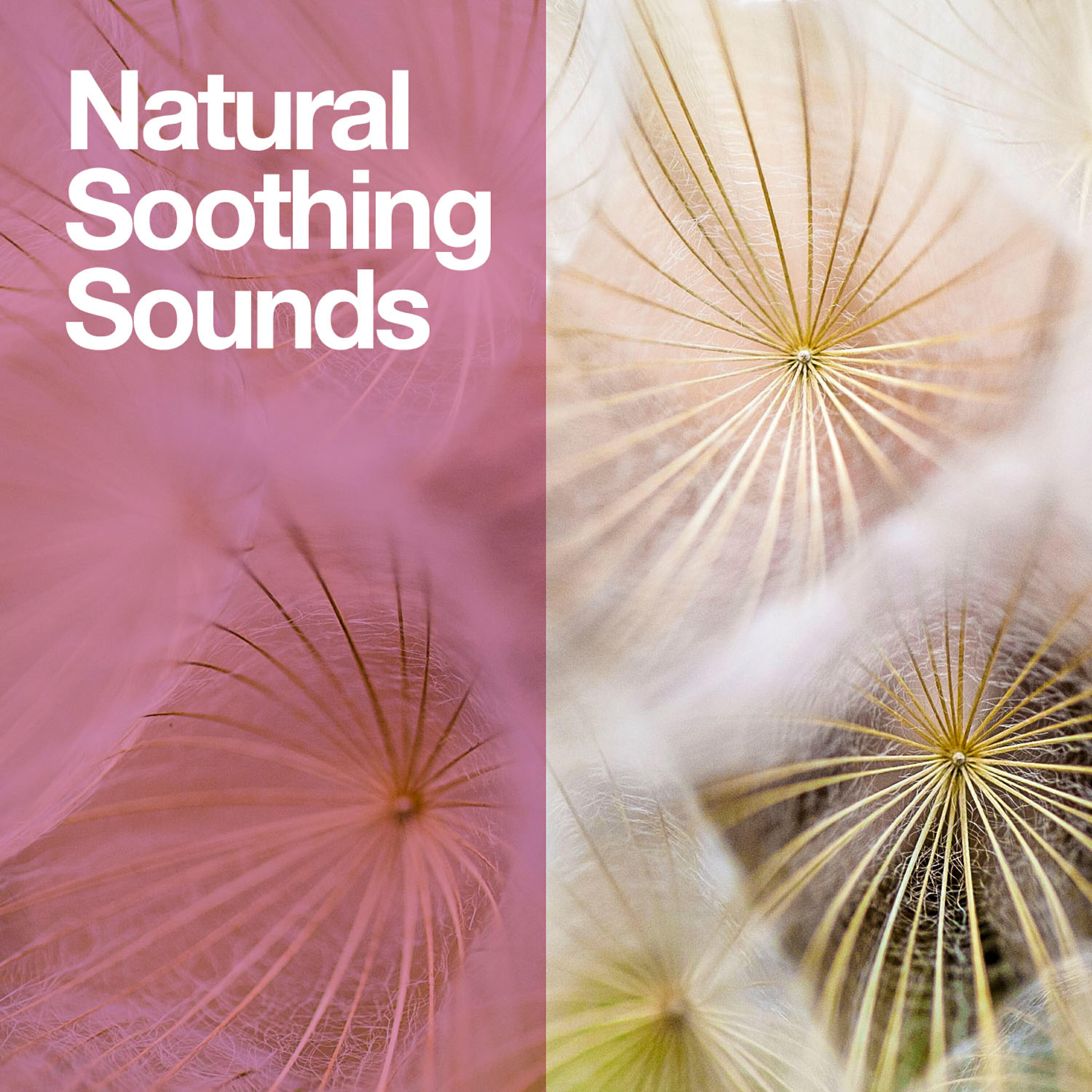 Релиз Natural Soothing Sounds