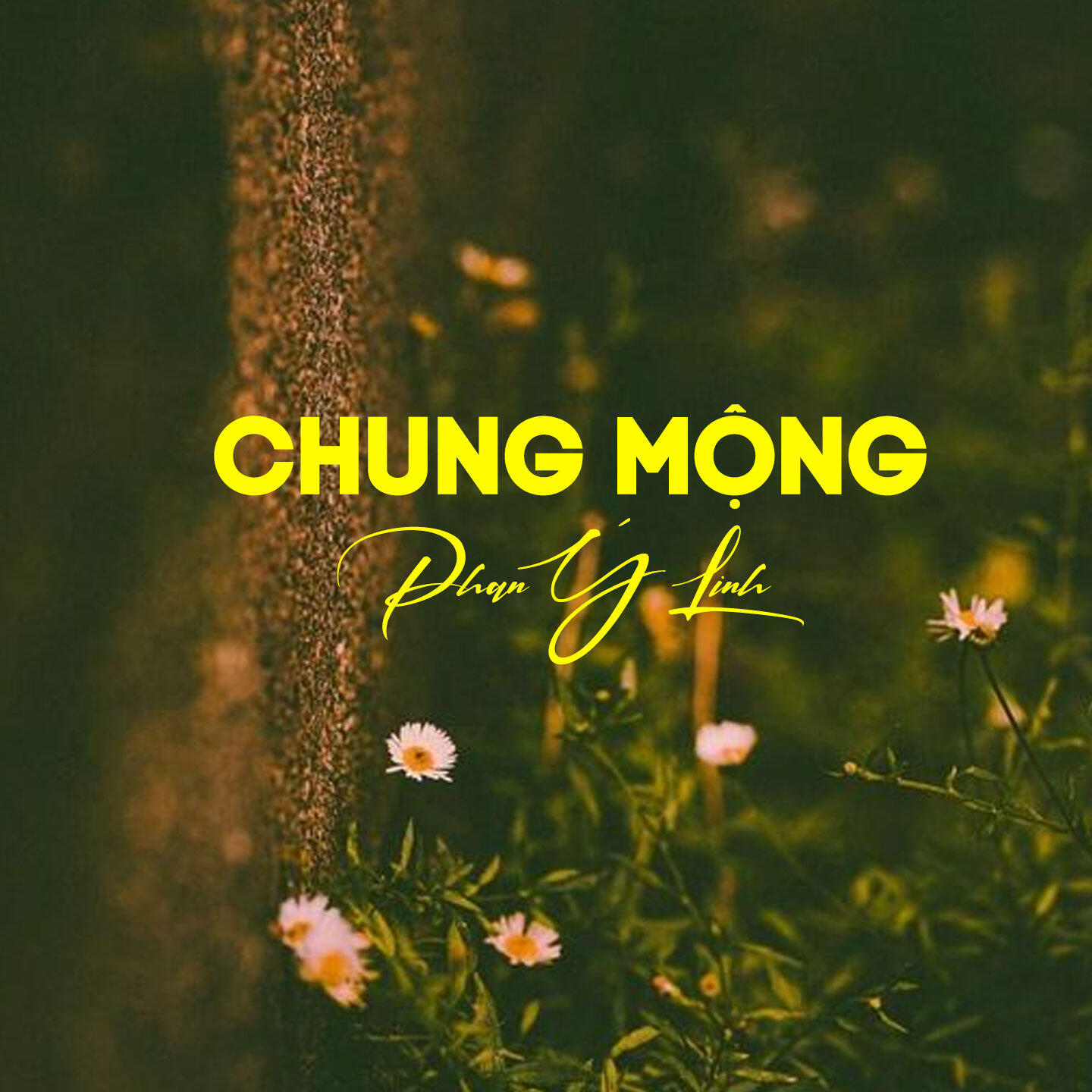 Релиз Chung Mộng