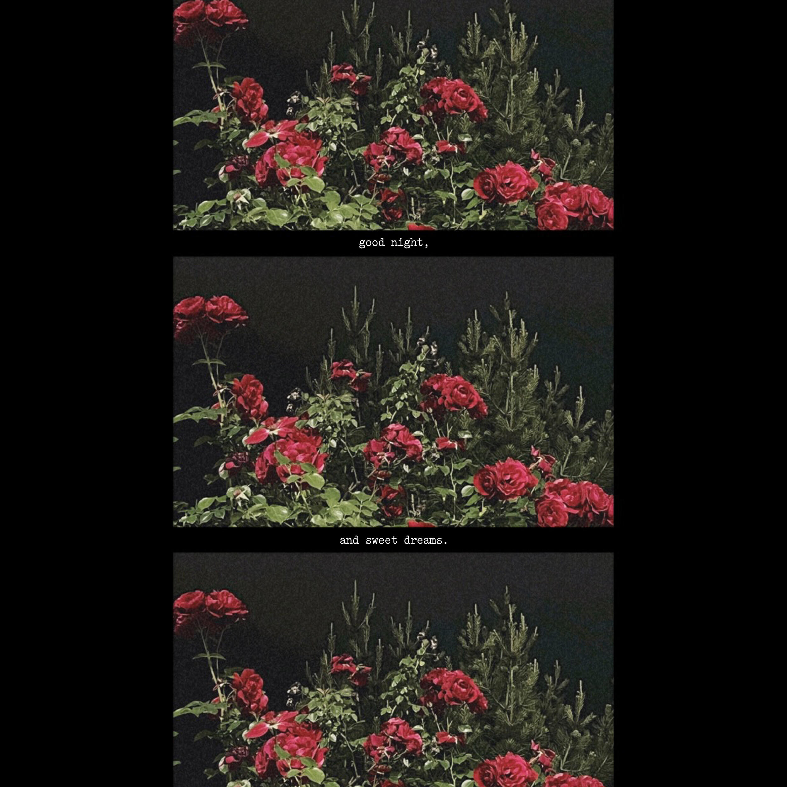 Релиз Good night, and sweet dreams