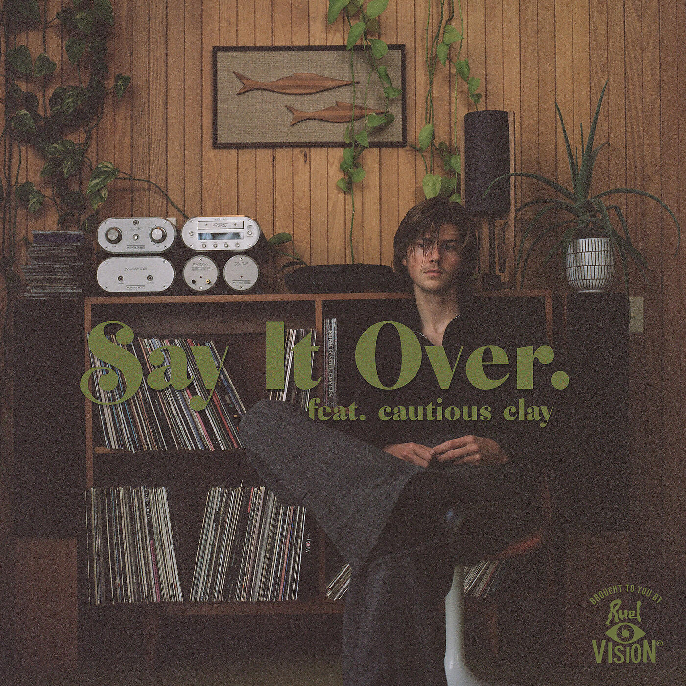 Релиз say it over