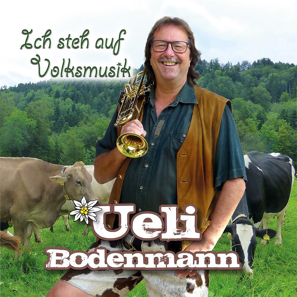 Релиз Ich steh auf Volksmusik