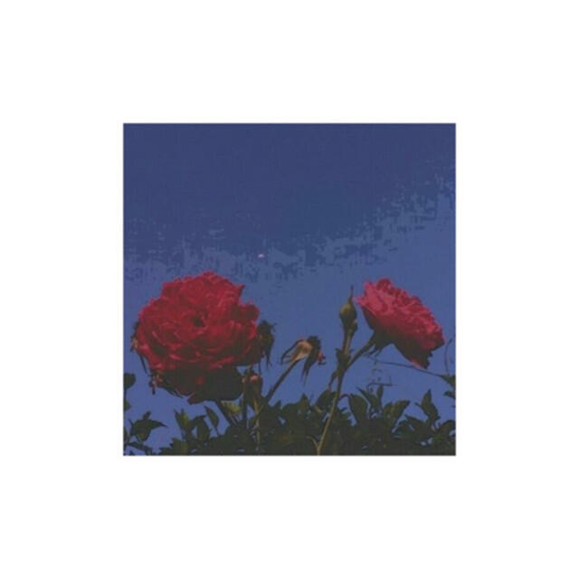 Релиз Wet Flowers