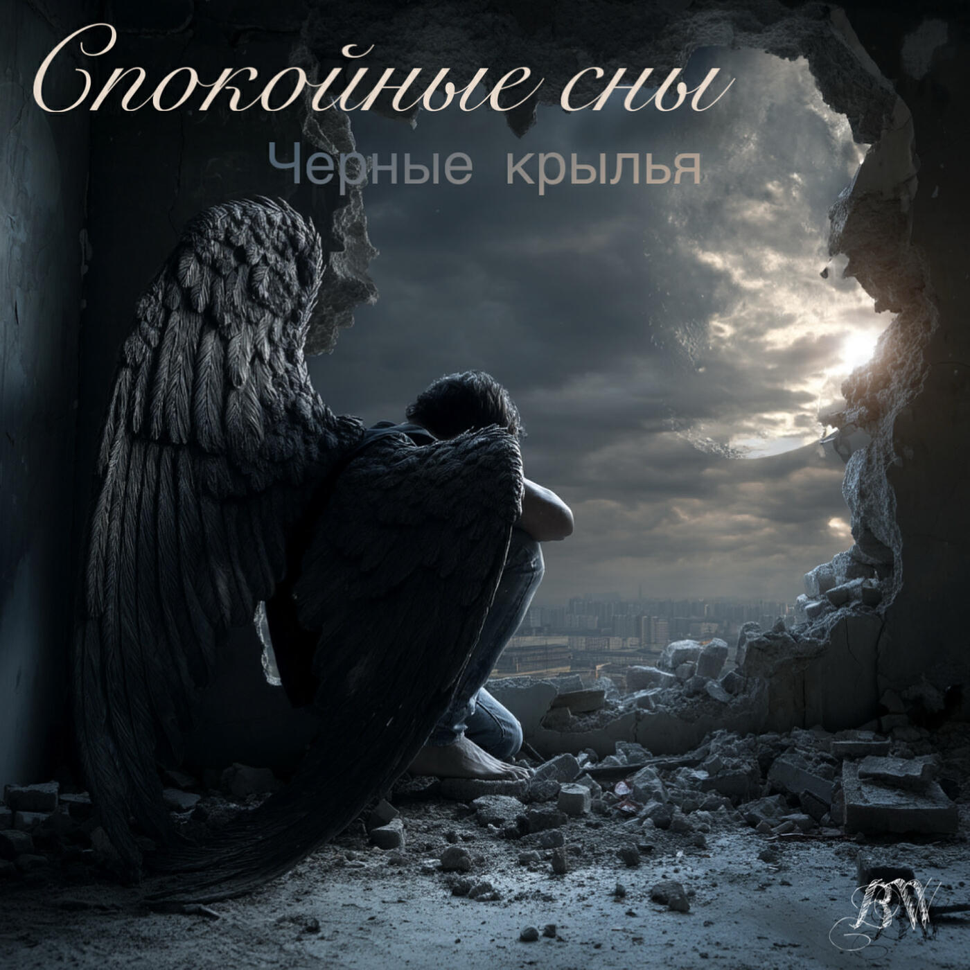 Чёрные крылья