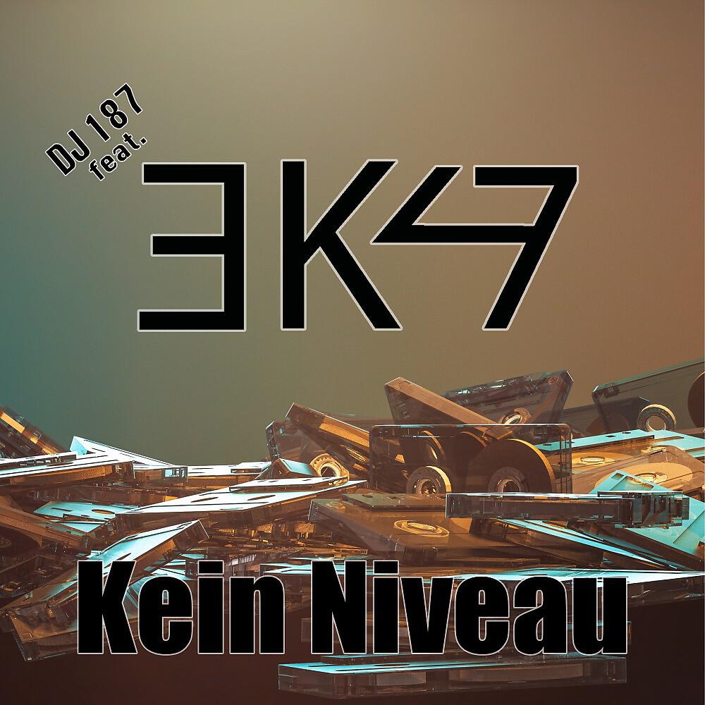 Релиз Kein Niveau