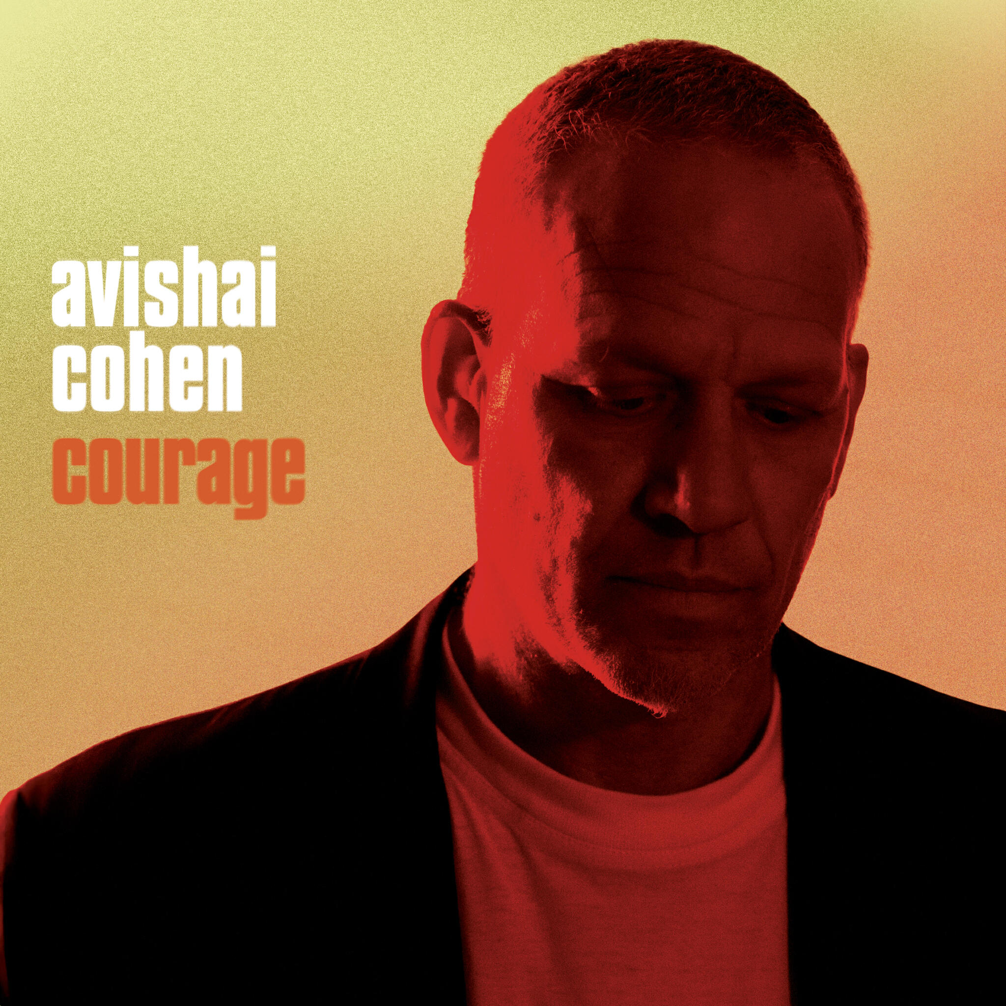 Постер альбома Courage
