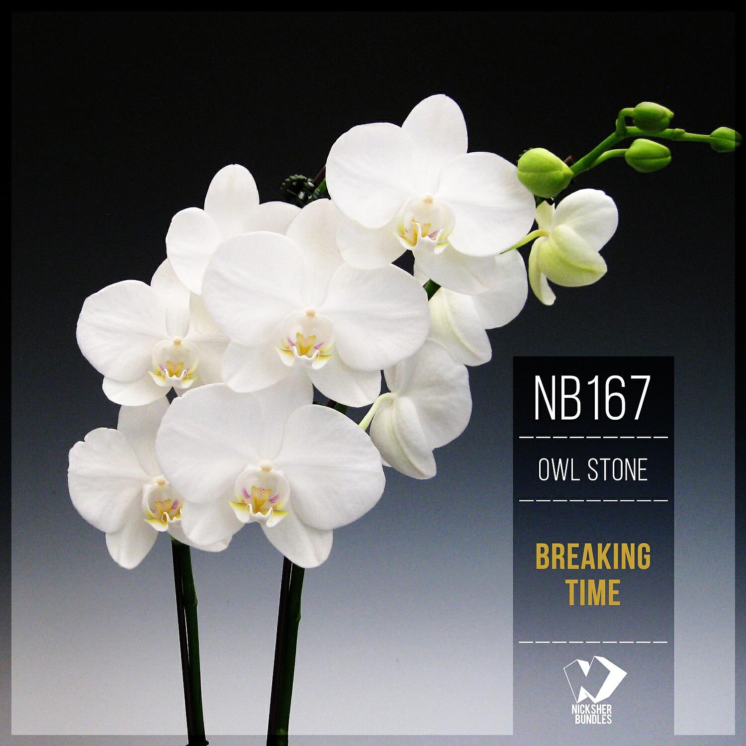 Релиз Breaking Time