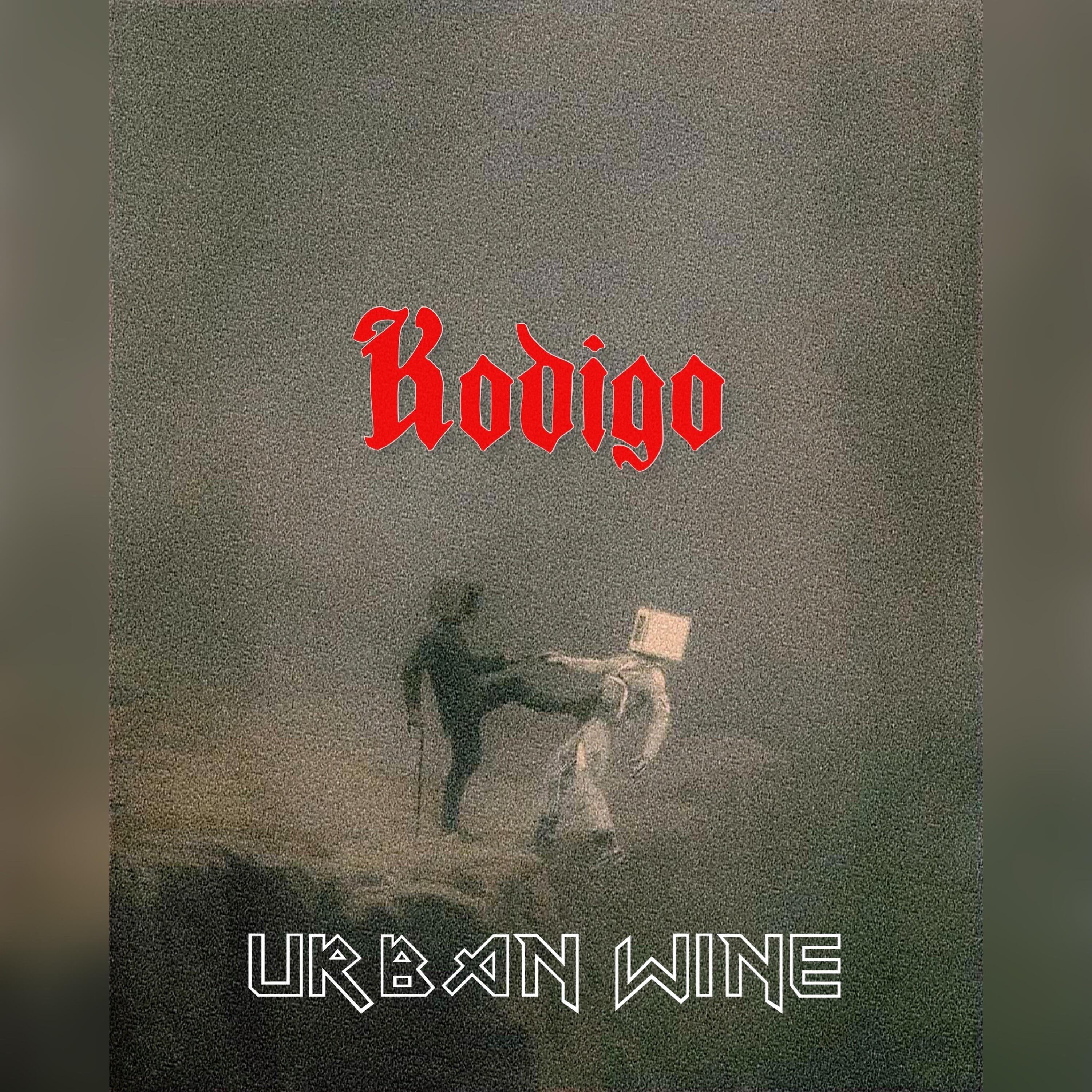 Релиз Kodigo