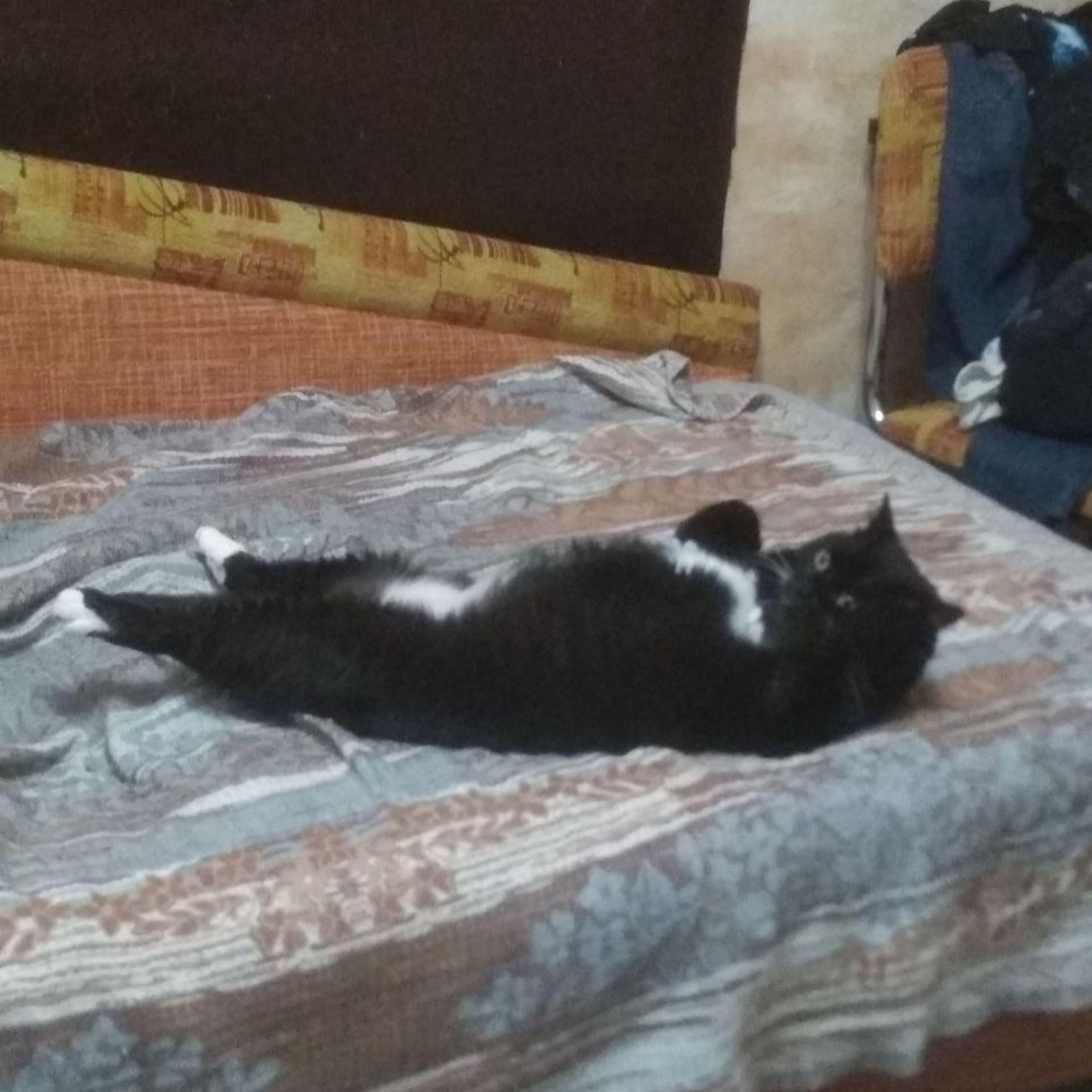 Релиз БАРАШ
