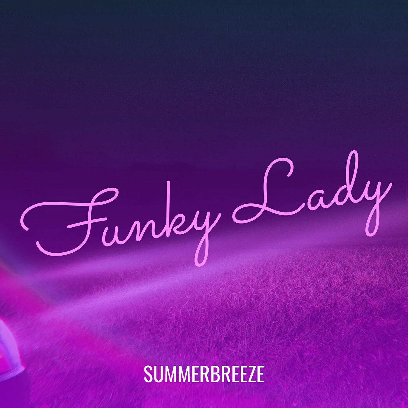 Постер альбома Funky Lady