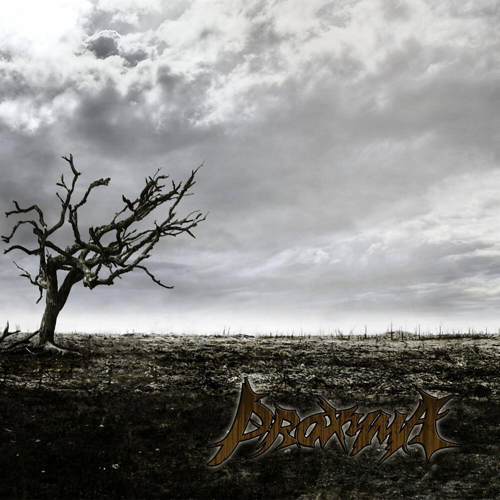 Релиз Proxyma
