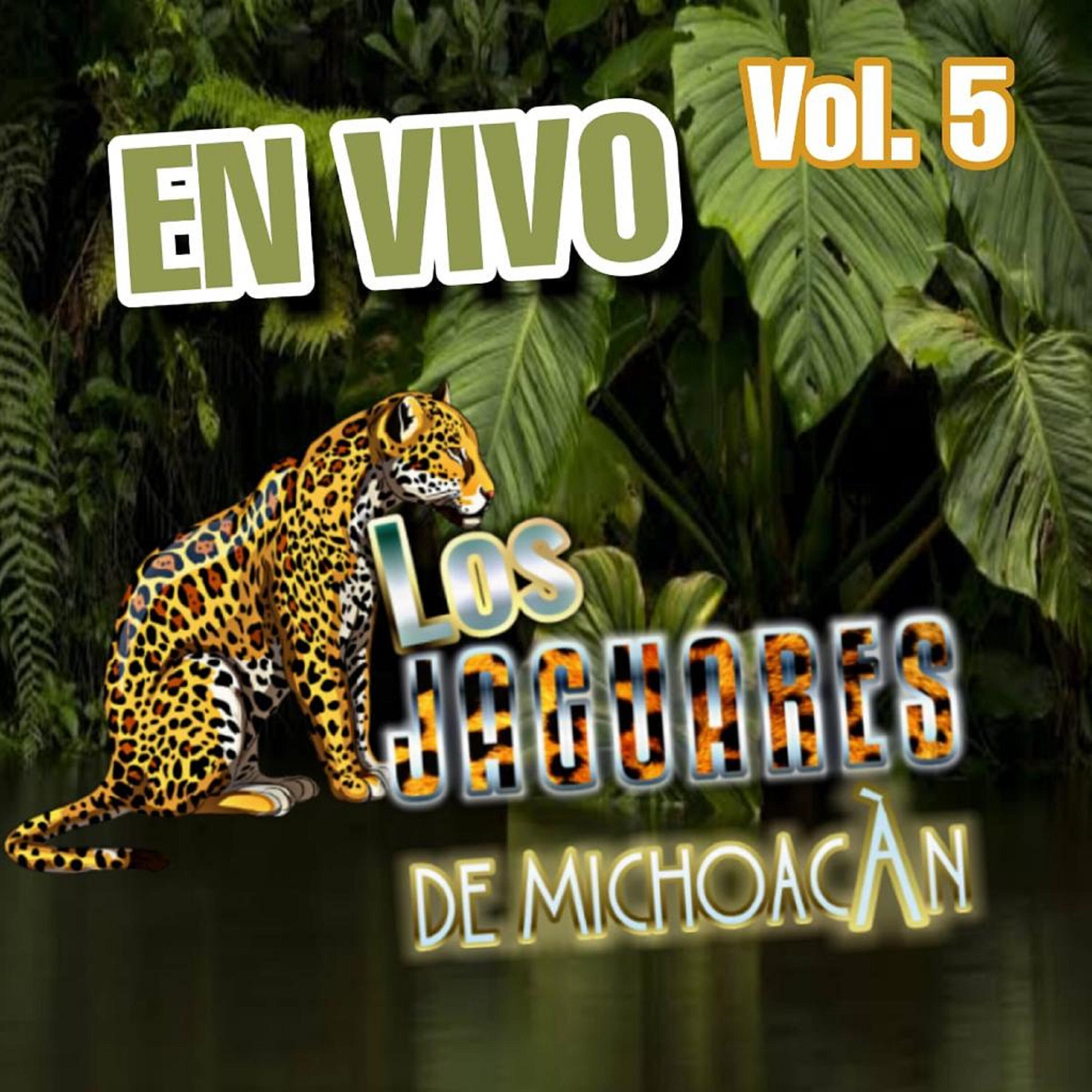 Los Jaguares De Michoacan