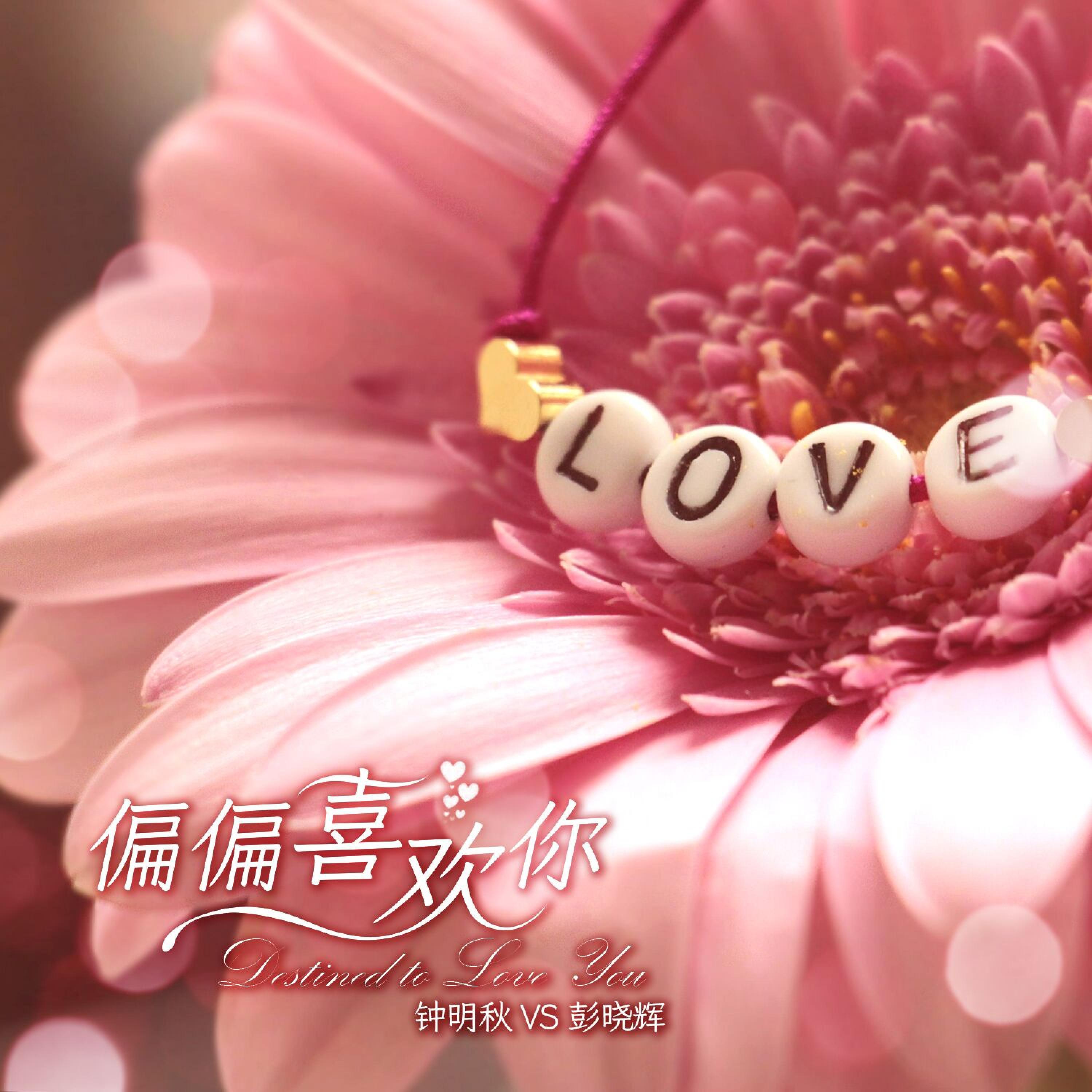 Релиз 偏偏喜欢你