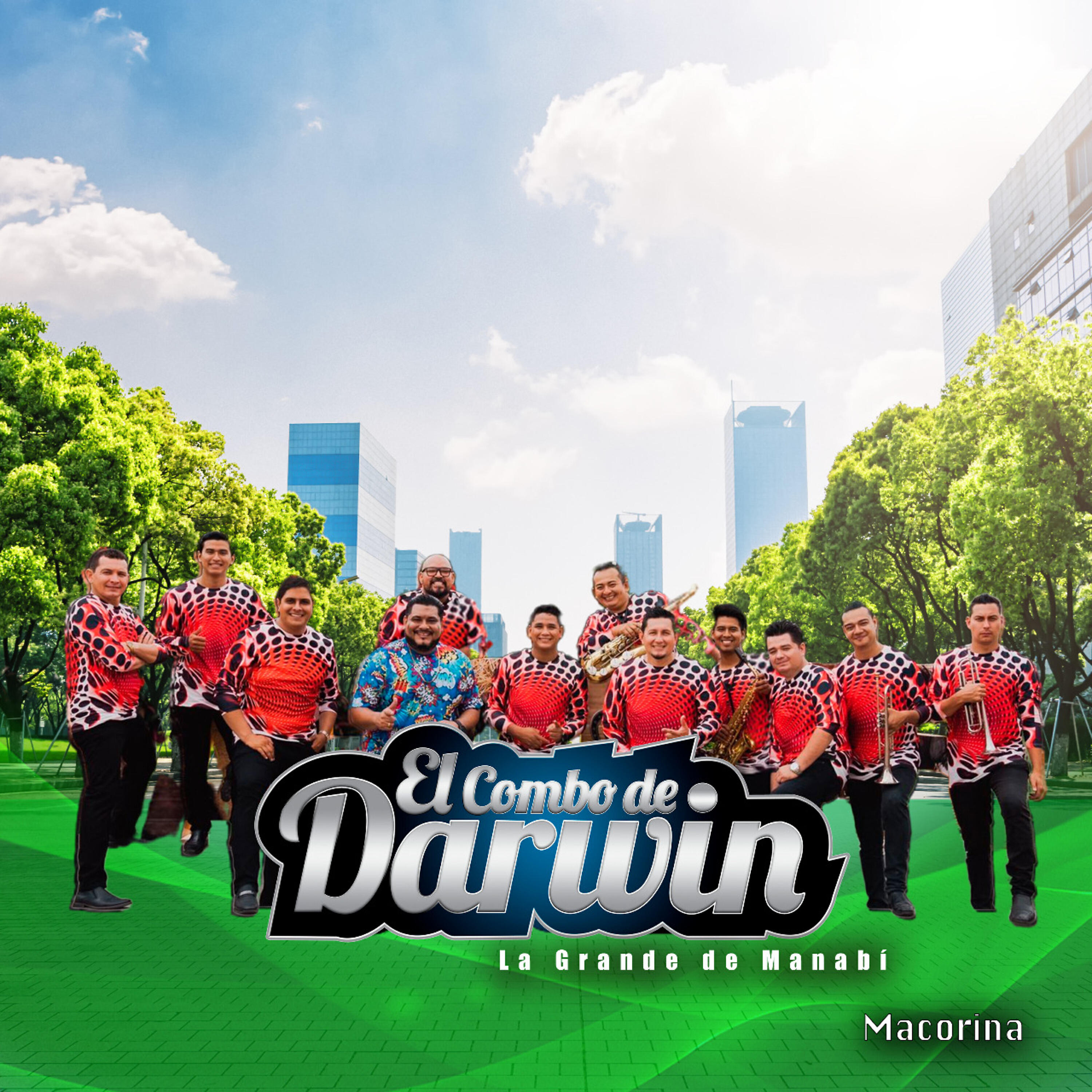 Релиз Macorina