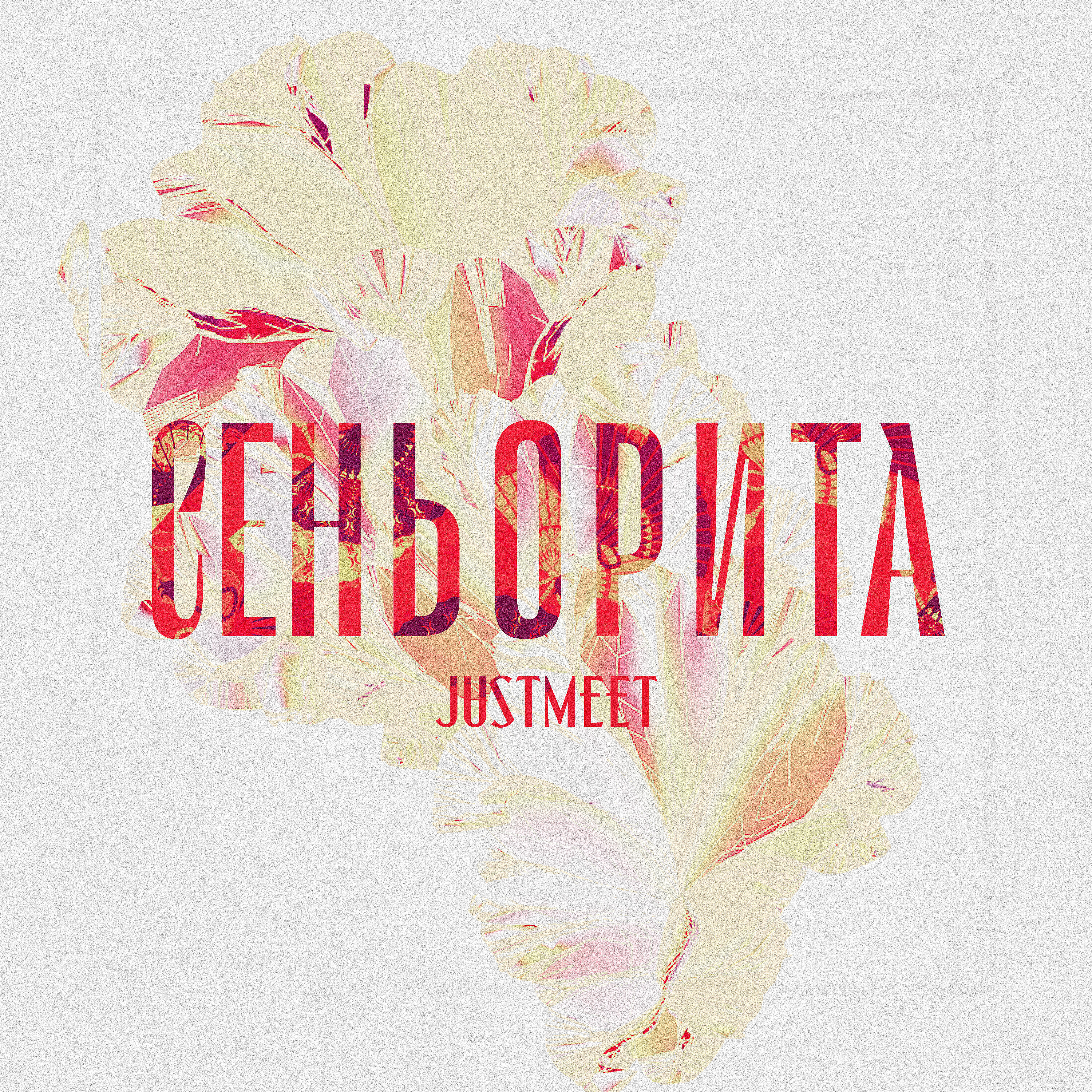 Постер альбома Сеньорита