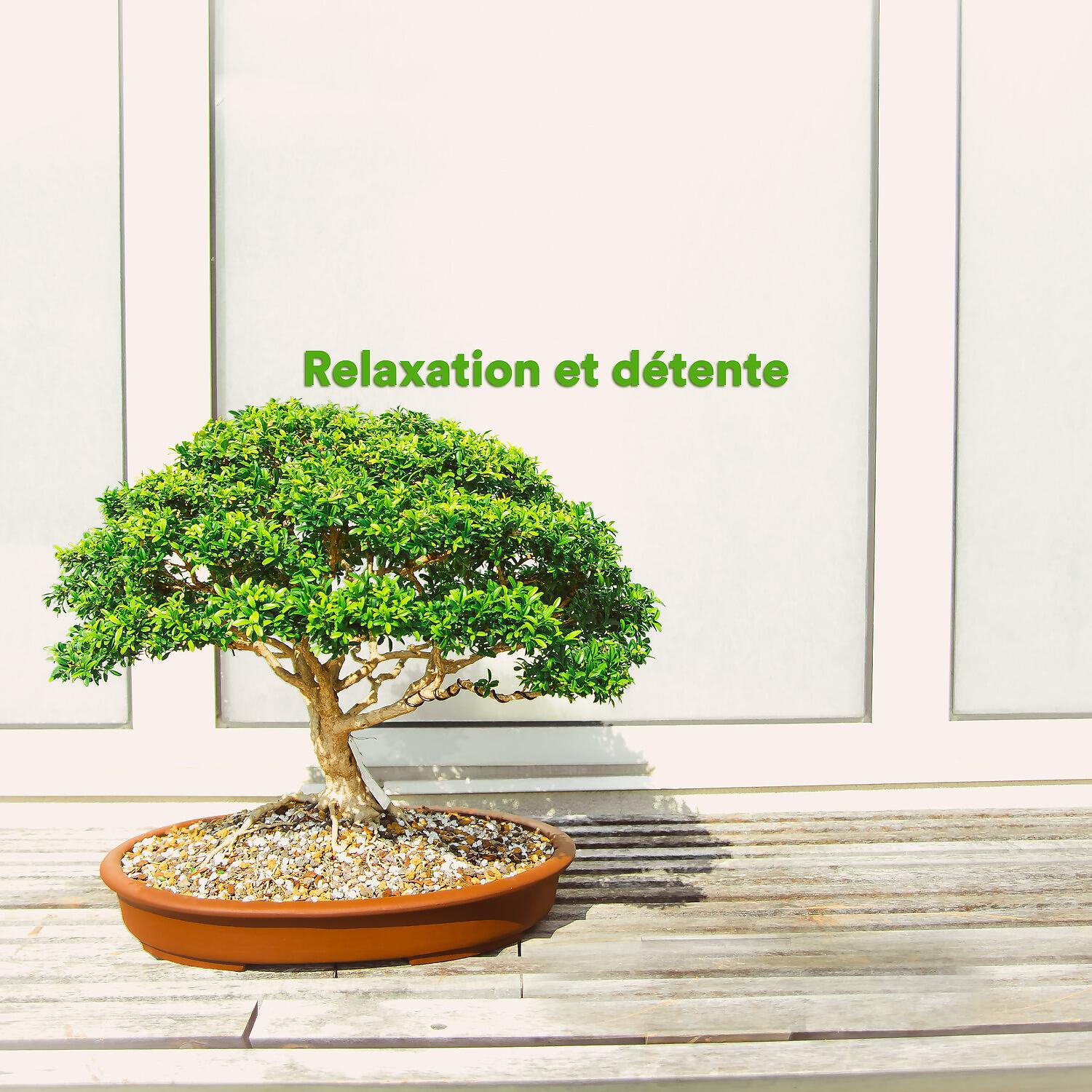 Релиз Relaxation et détente