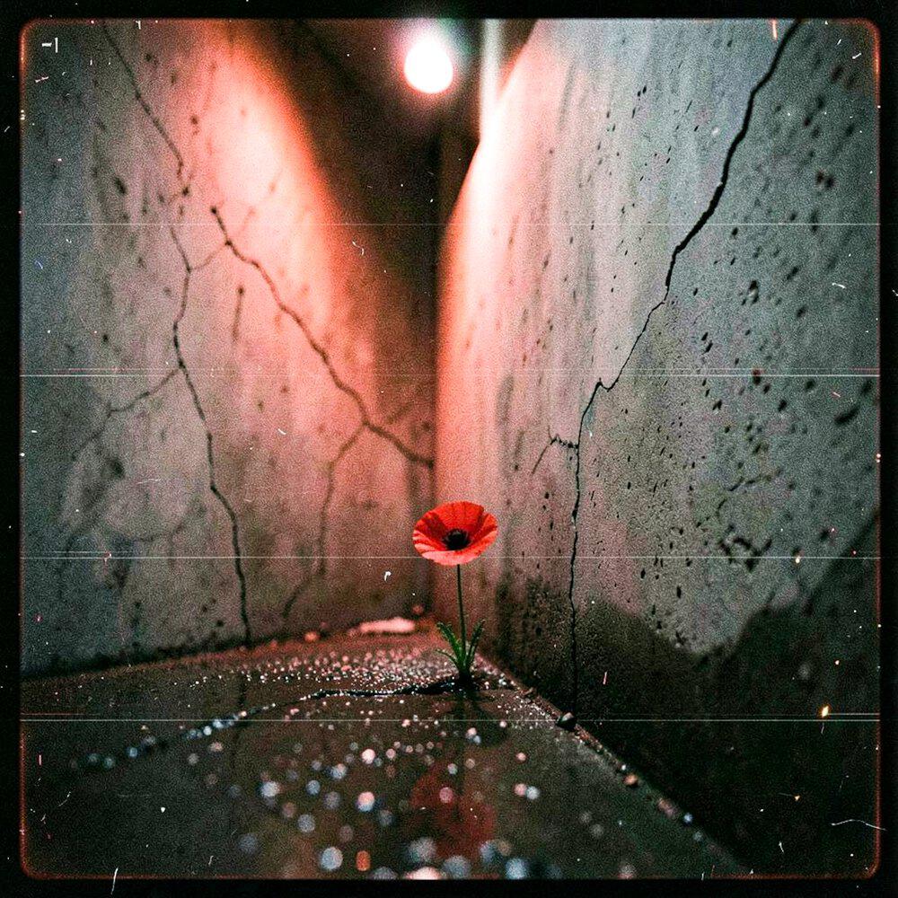 Релиз The Earth cry
