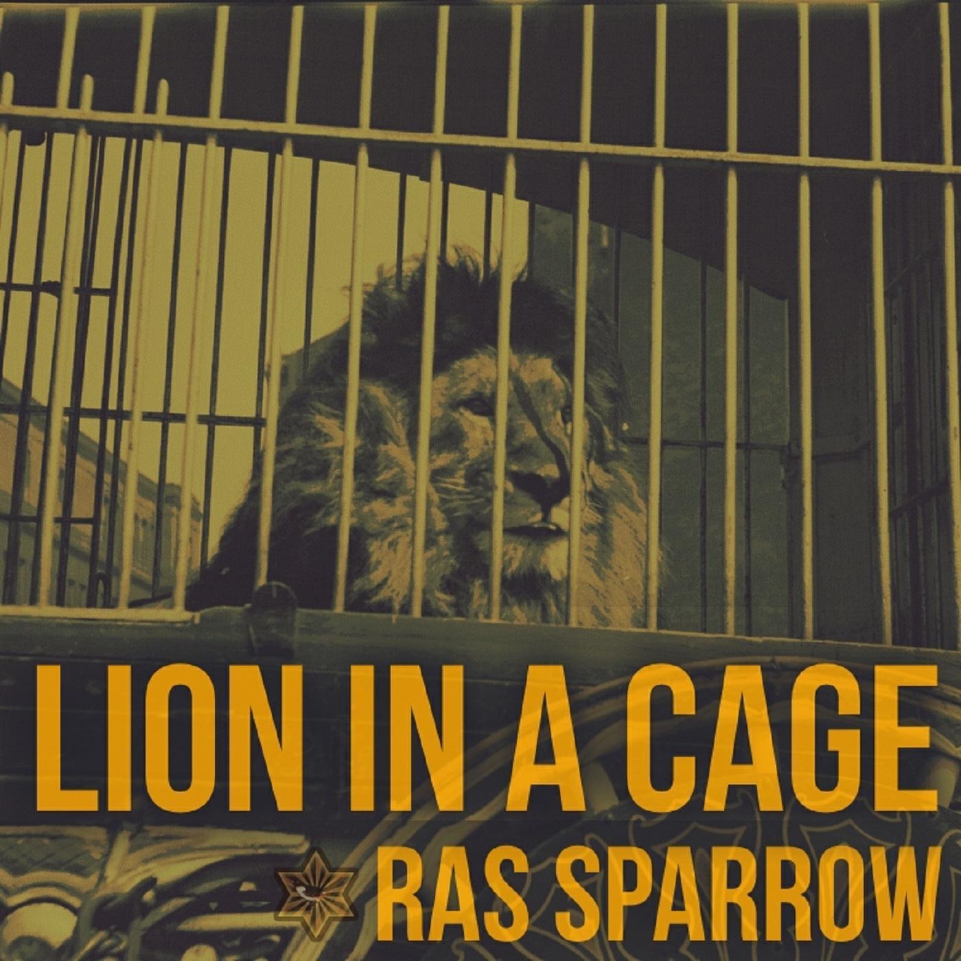 Релиз Lion in a Cage