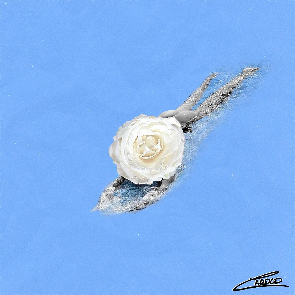 Релиз La vague