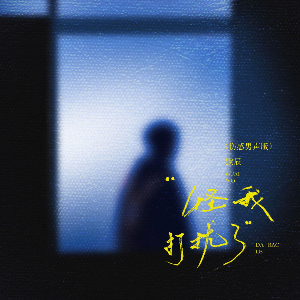 Релиз 怪我打扰了 (伤感男声版)
