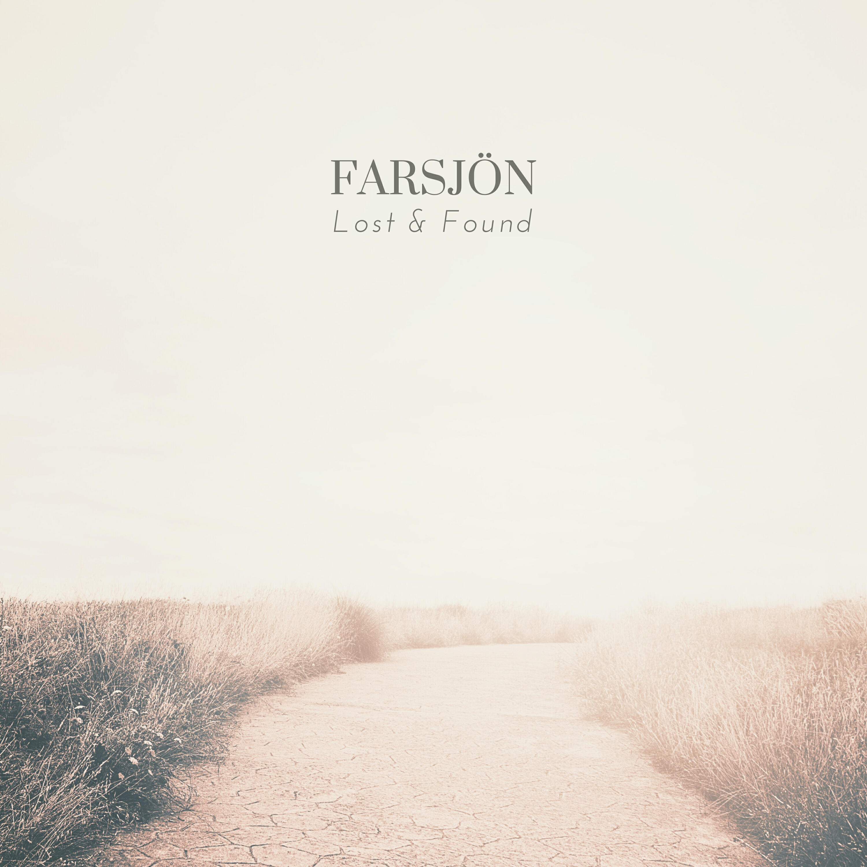 Релиз Lost & Found