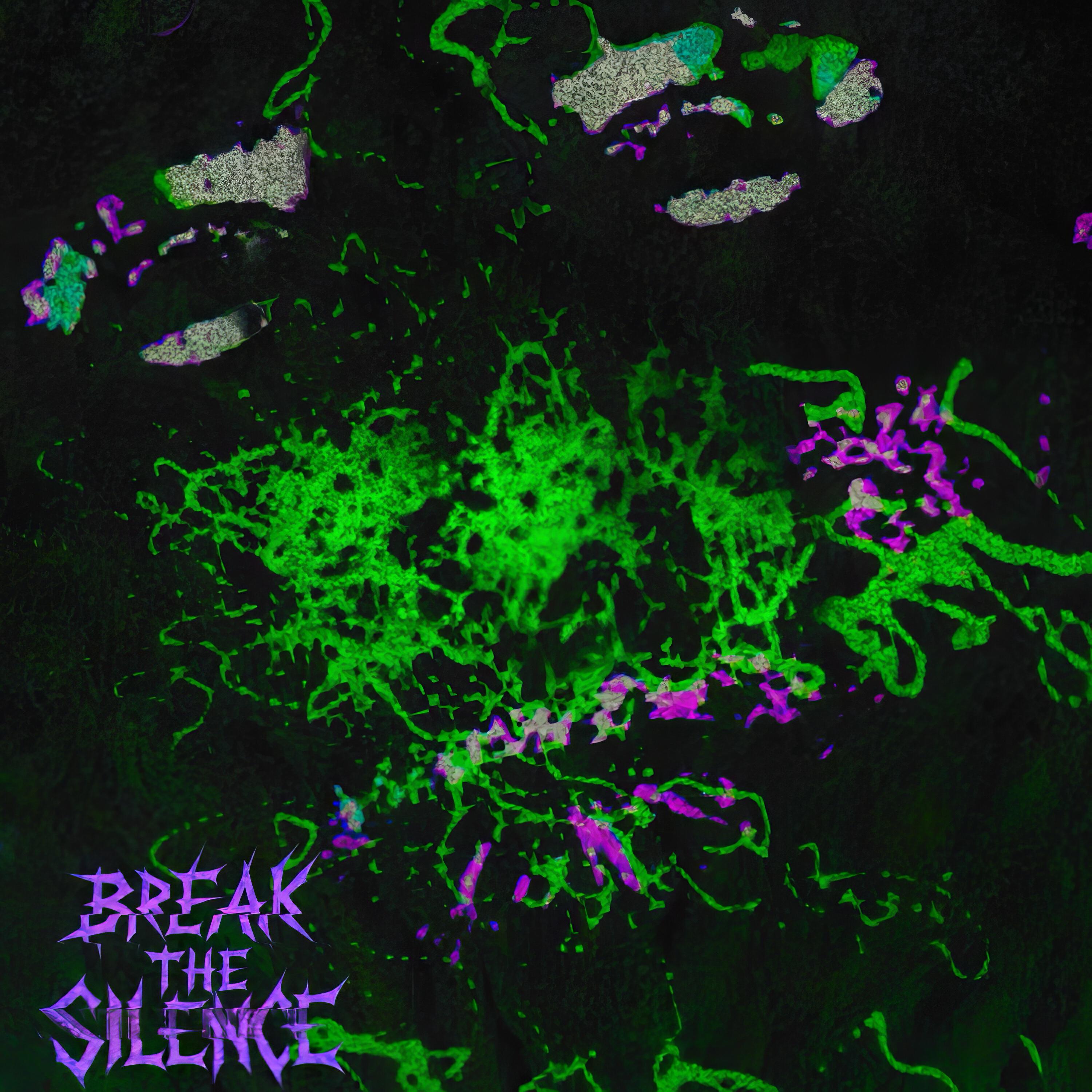 Релиз Break The Silence