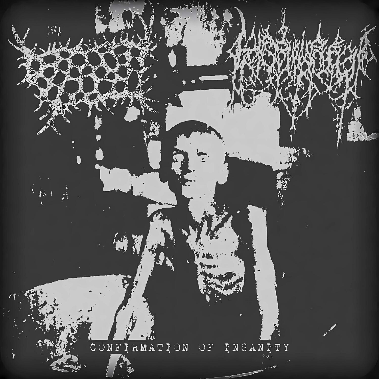 Релиз Confirmation of Insanity