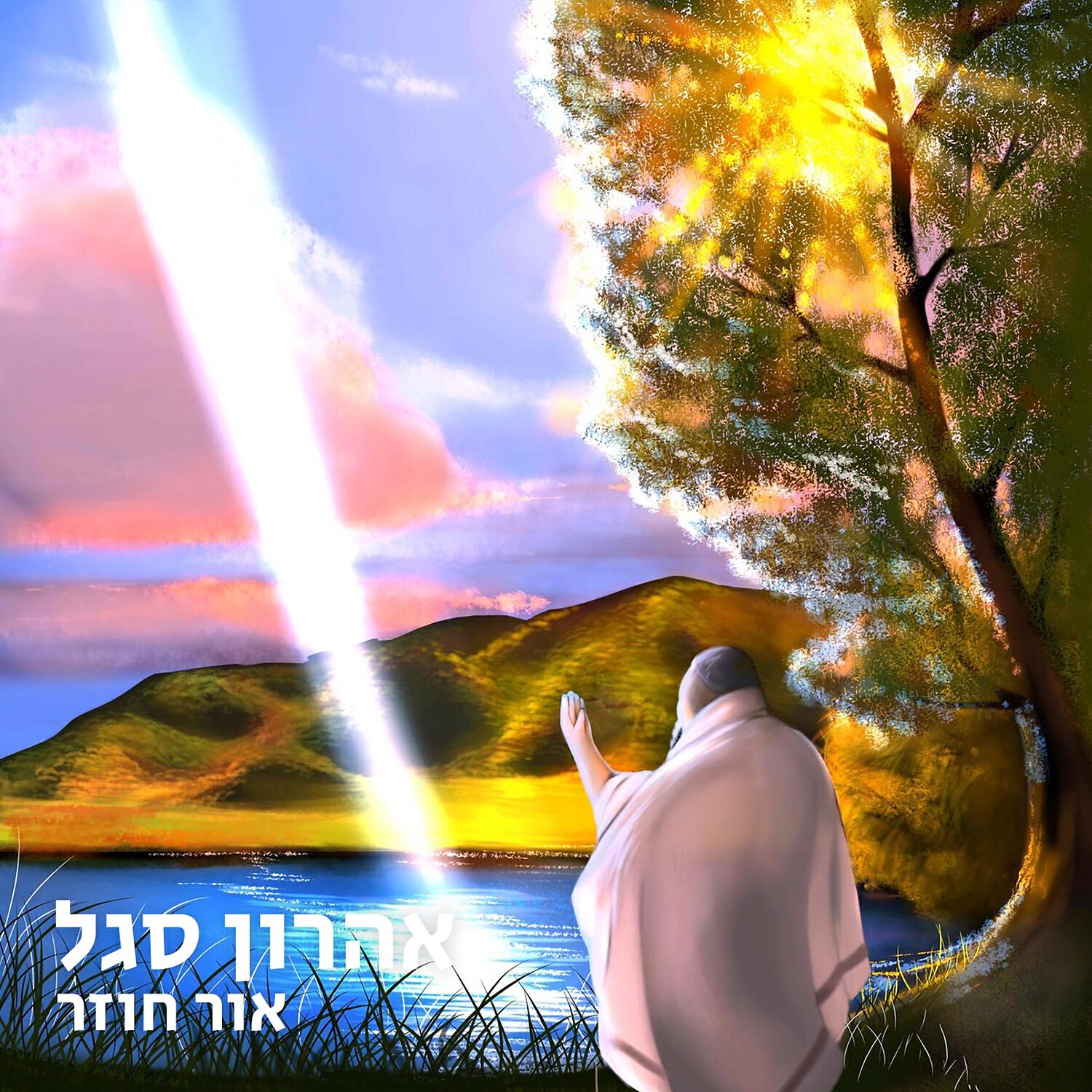 אהרון סגל