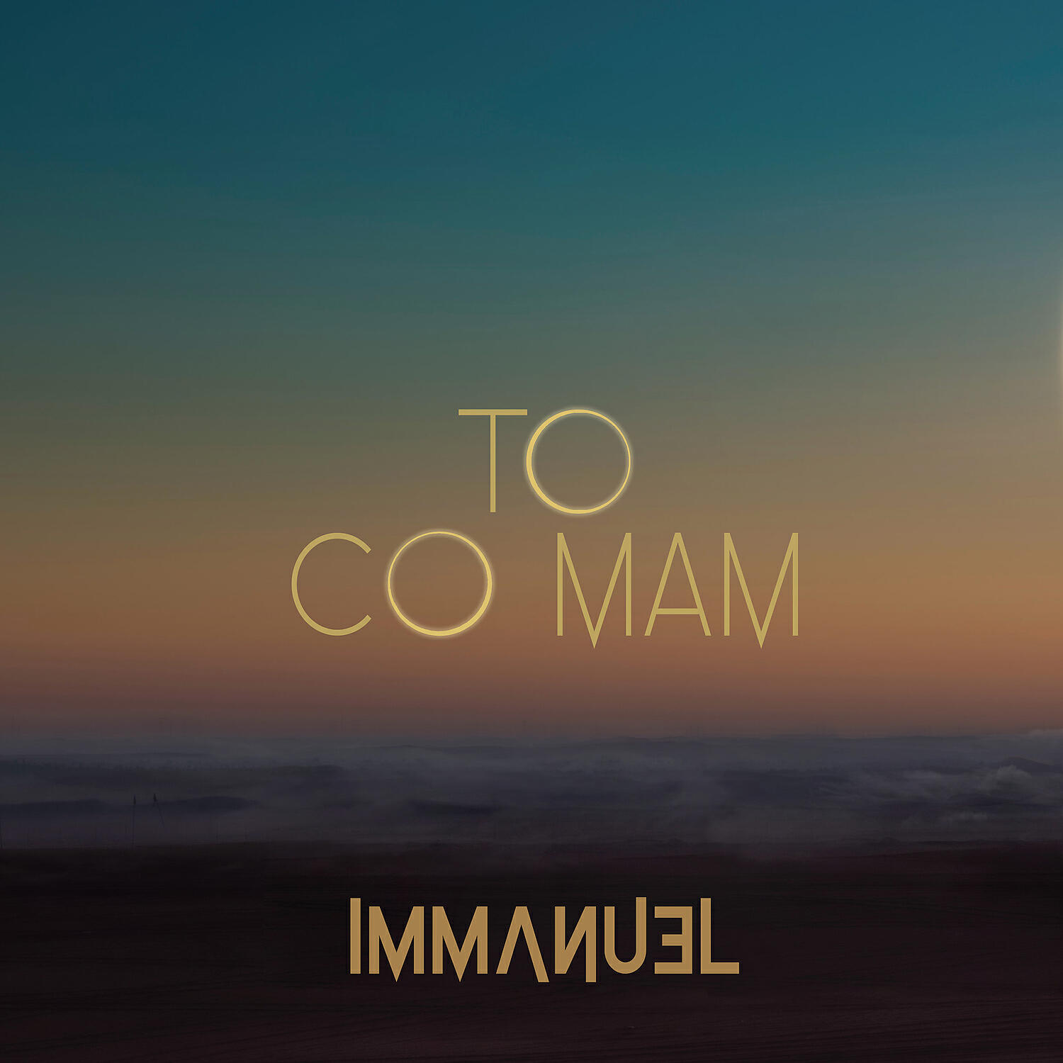 Постер альбома To co mam