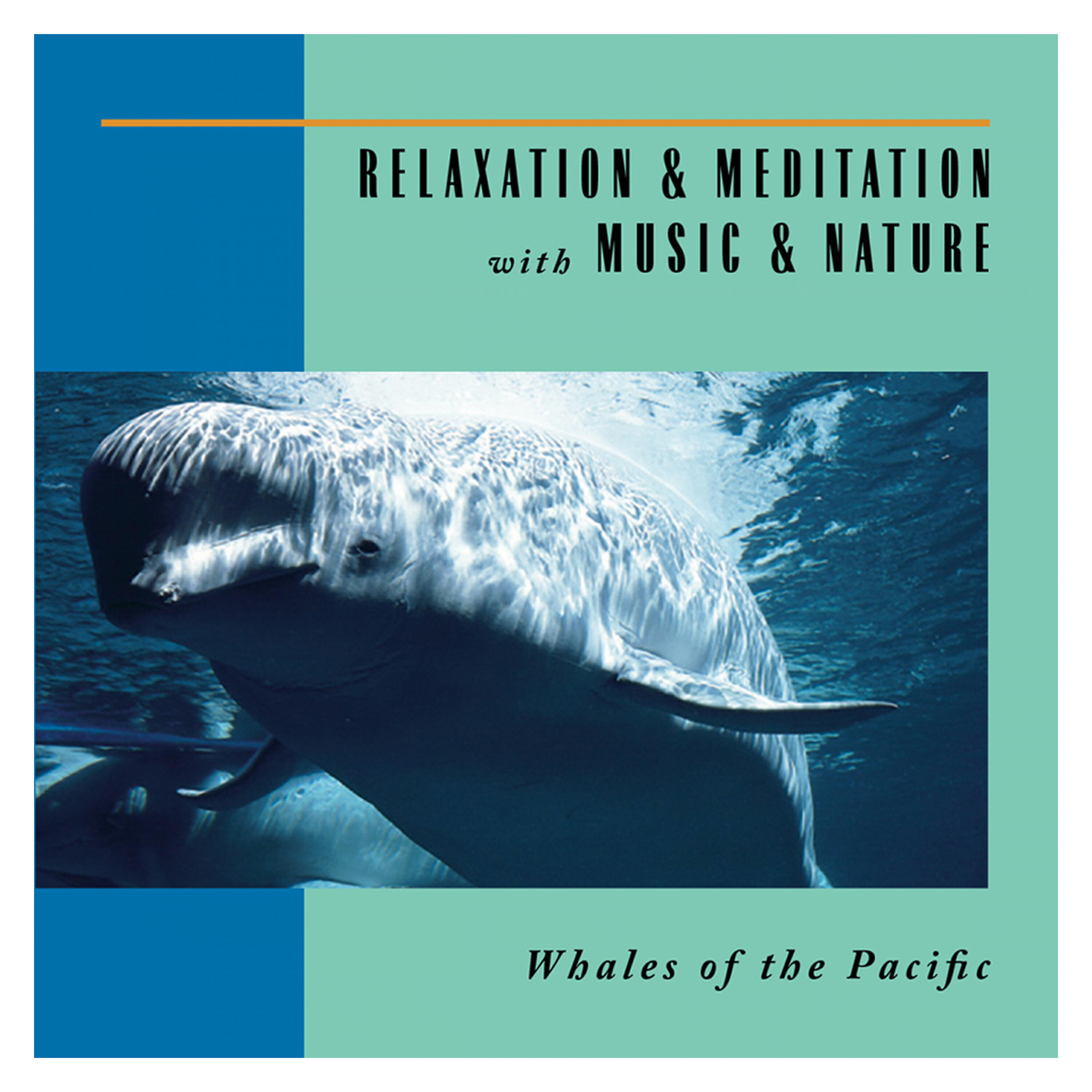 Релиз Whales Of The Pacific