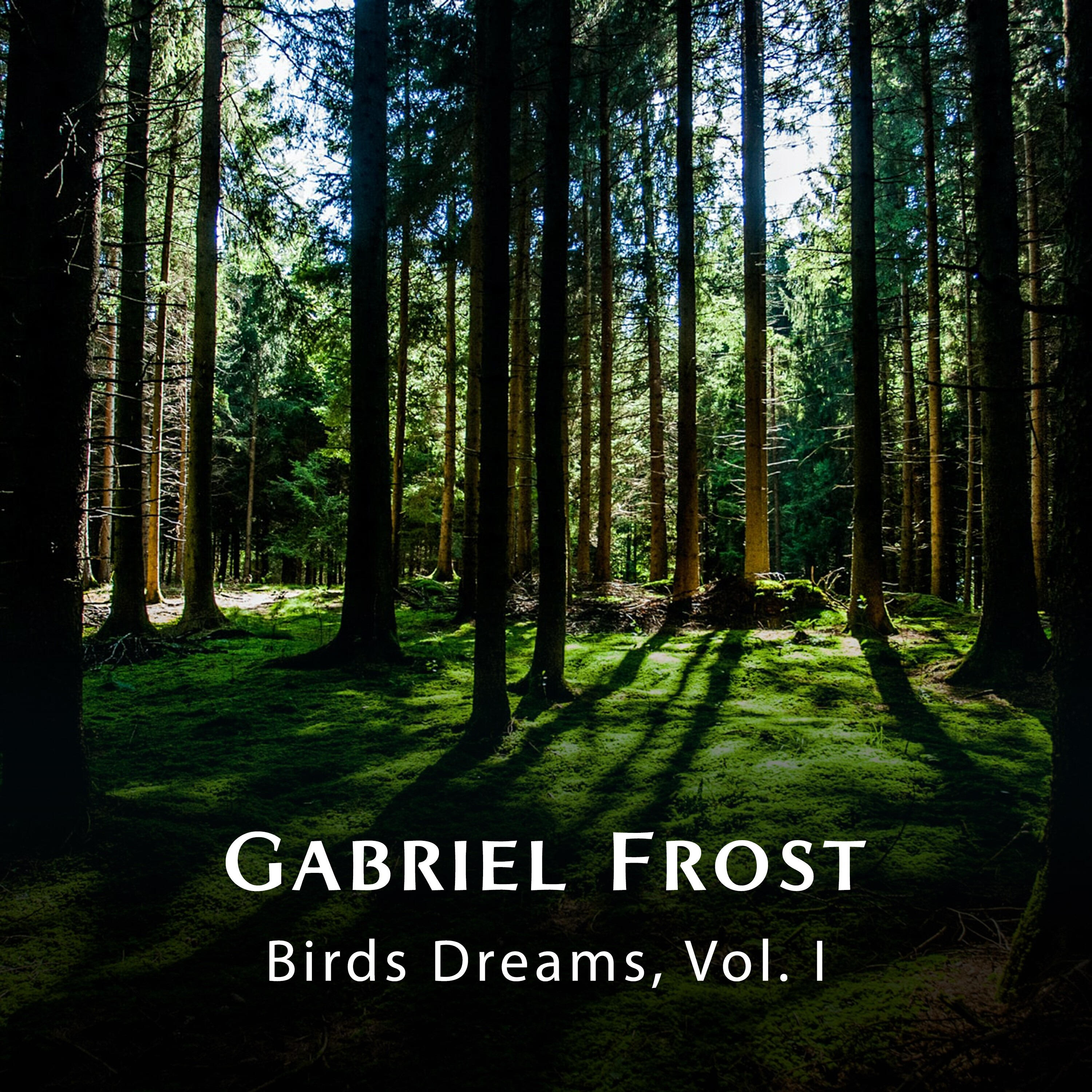 Релиз Birds Dreams, Vol. I