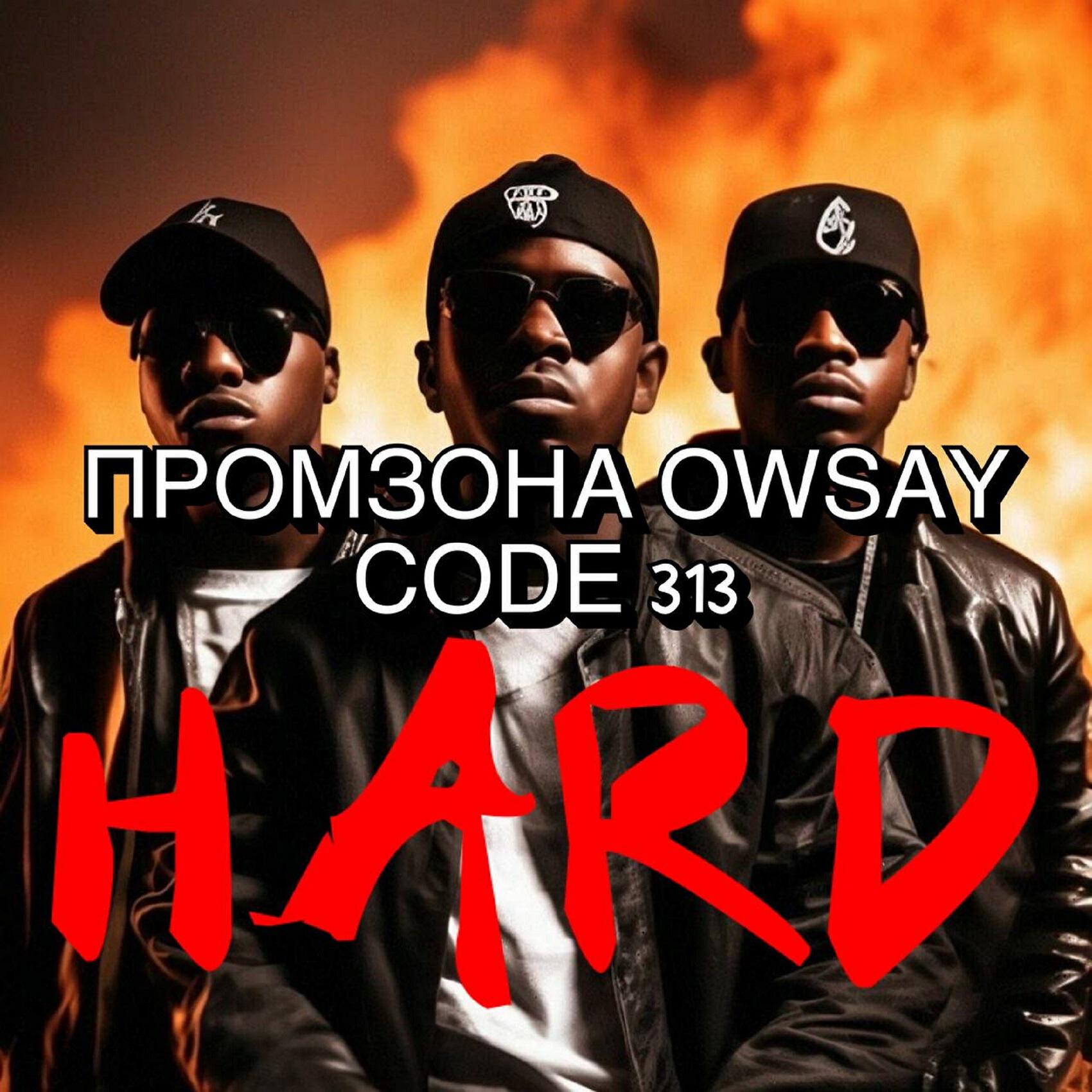 CODE 313