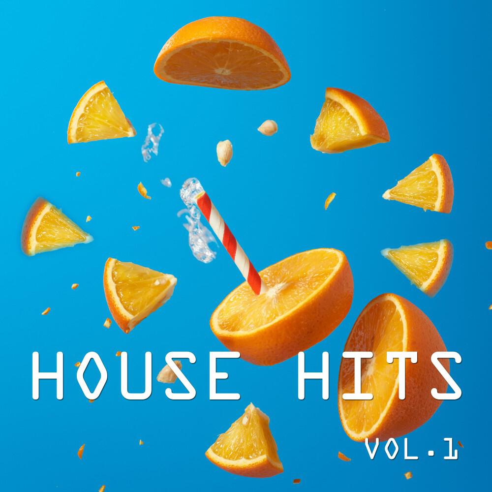 Релиз House Hits Vol. 1