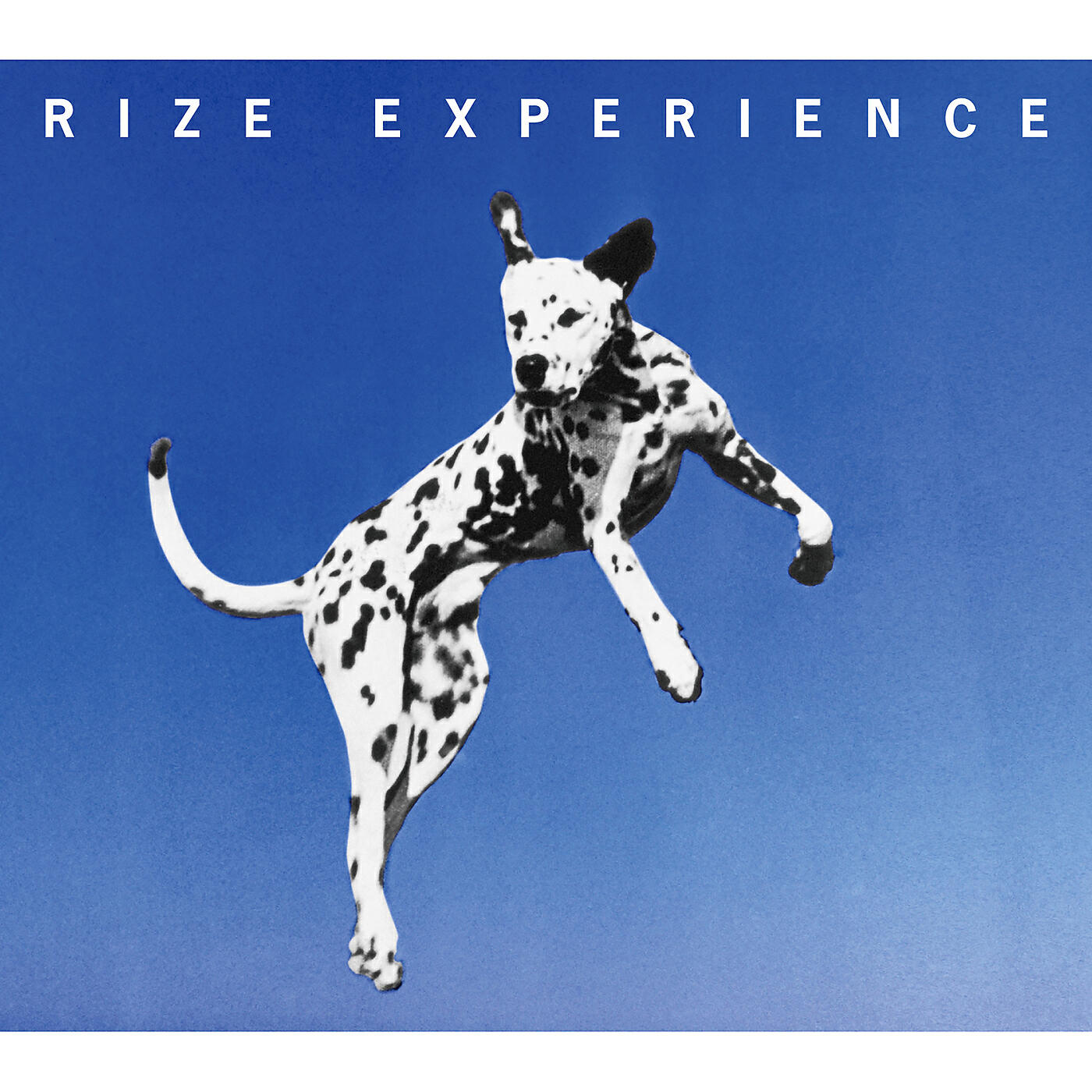 Релиз Experience