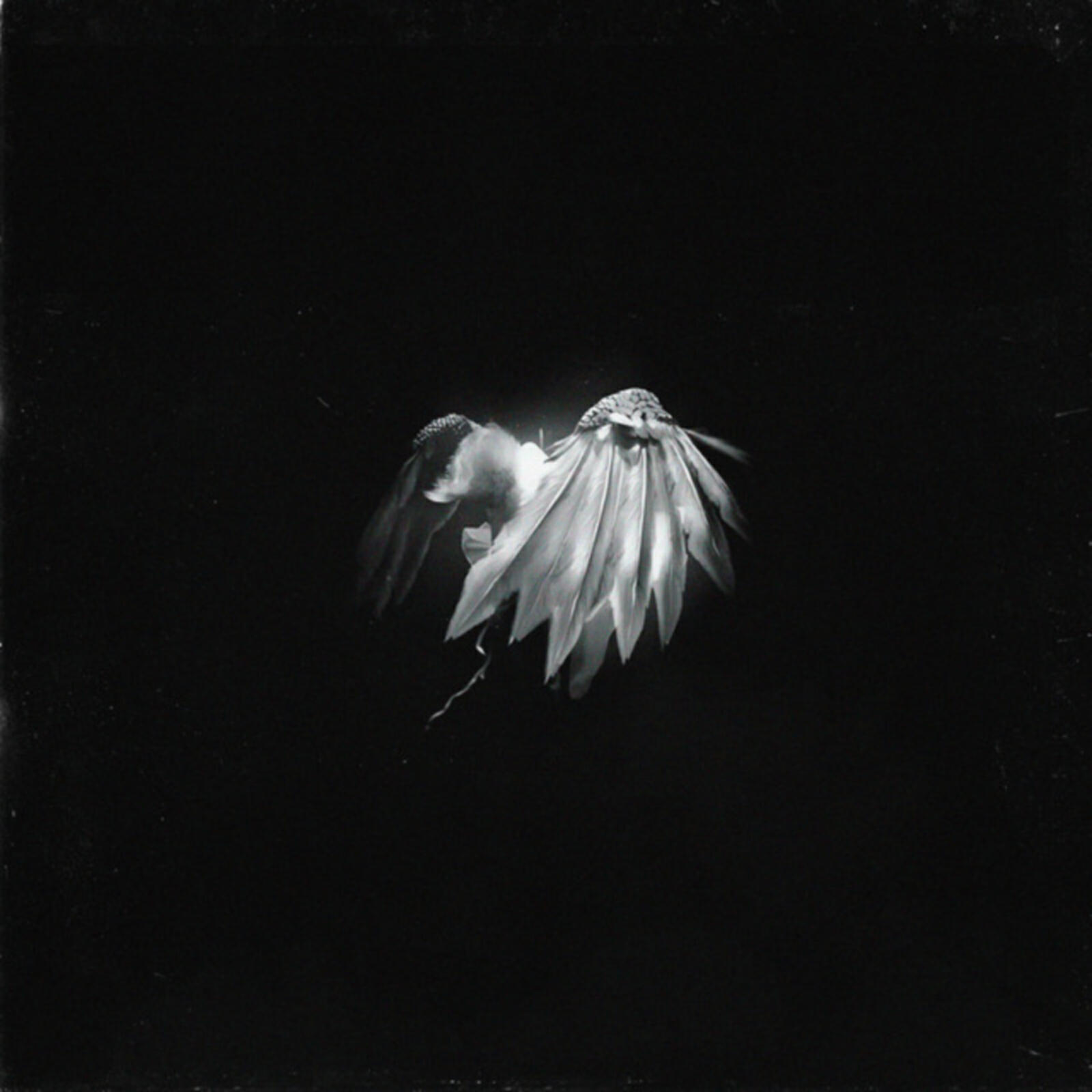 Релиз angel