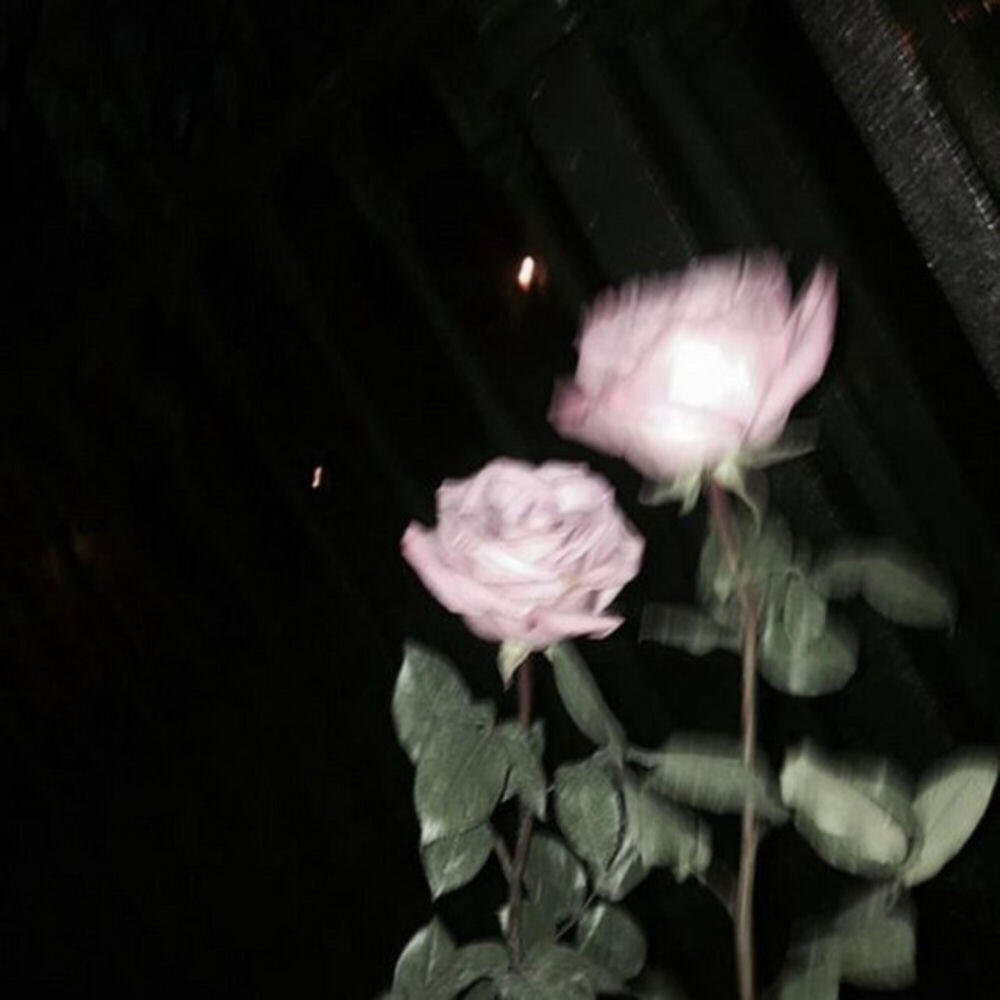 jsthebg